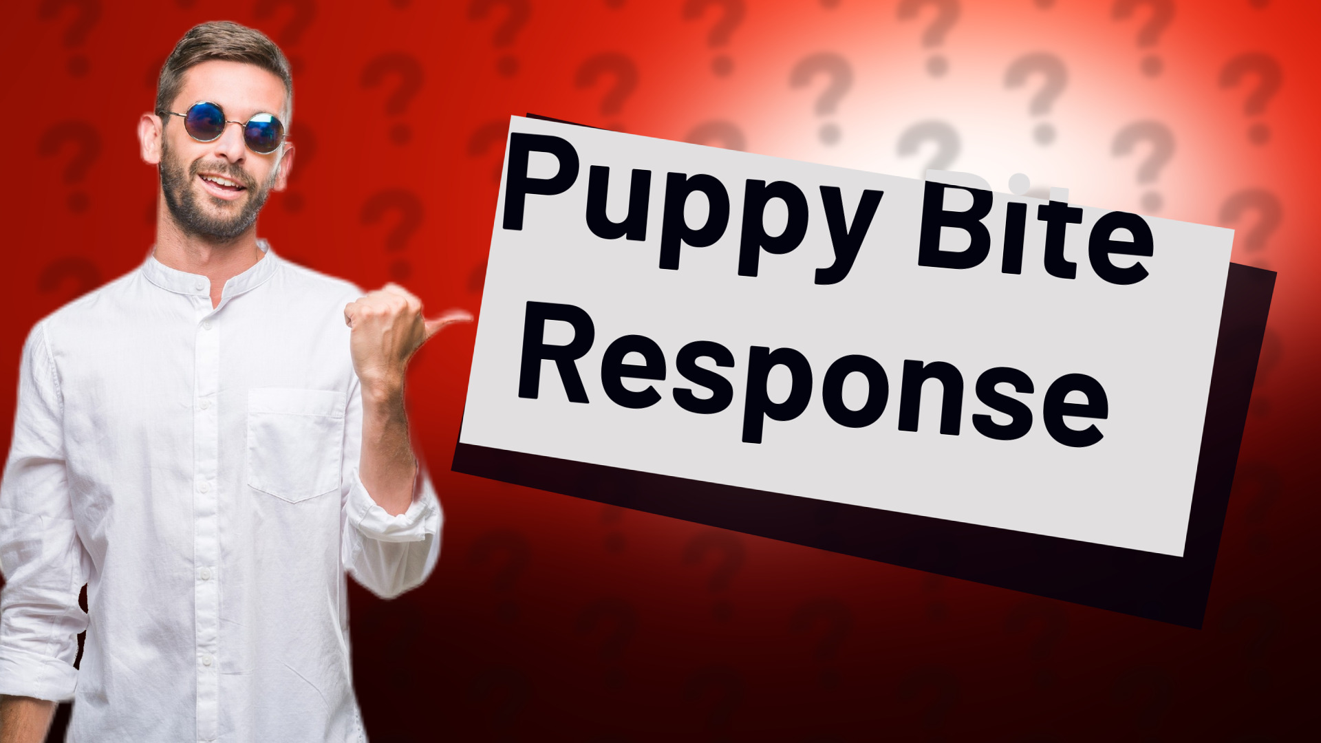 Puppy Bite Response
