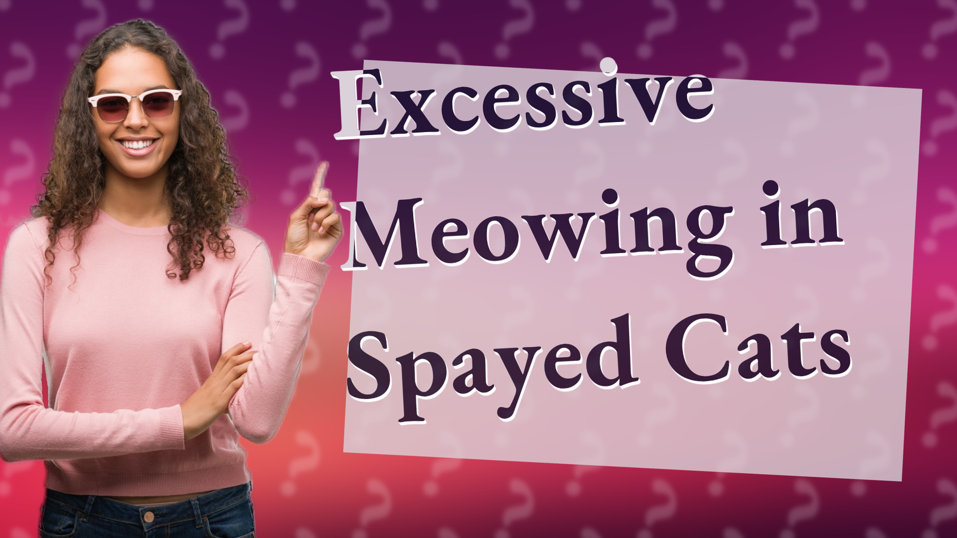 Excessive Meowing in Spayed Cats