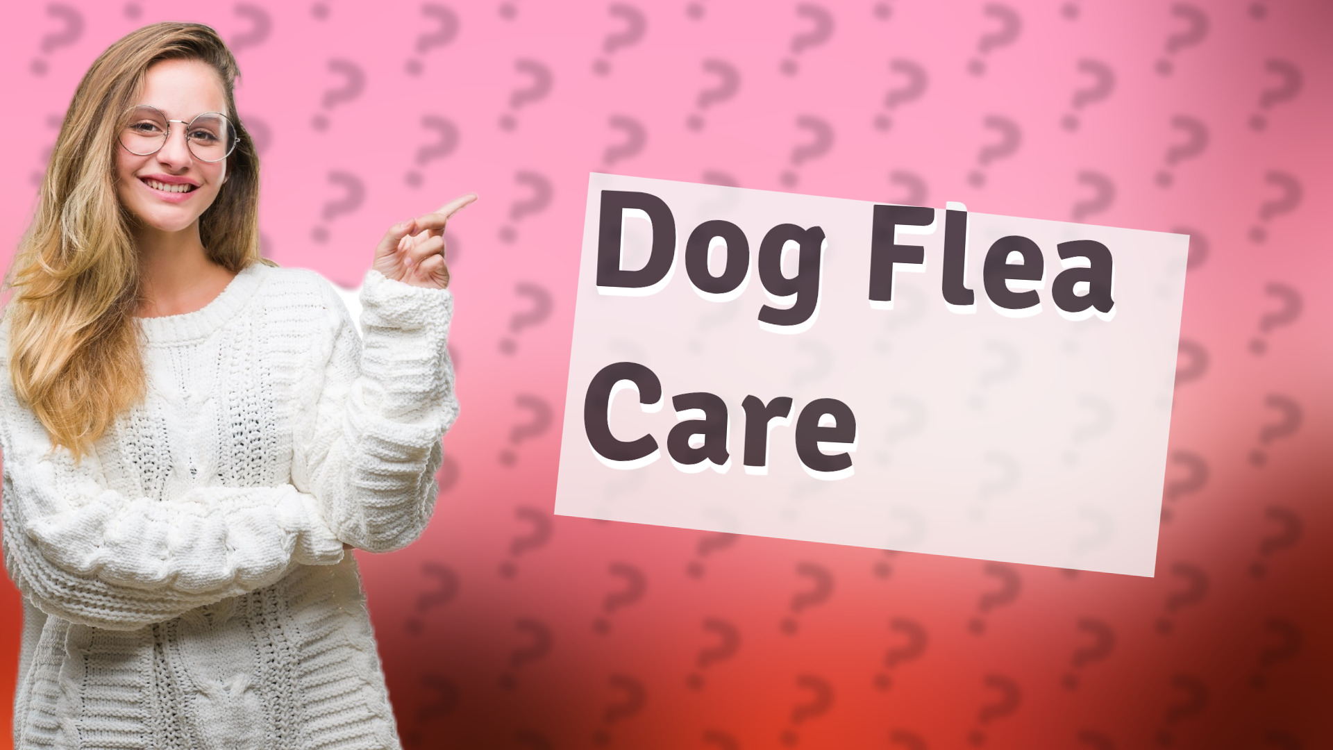 Dog Flea Care