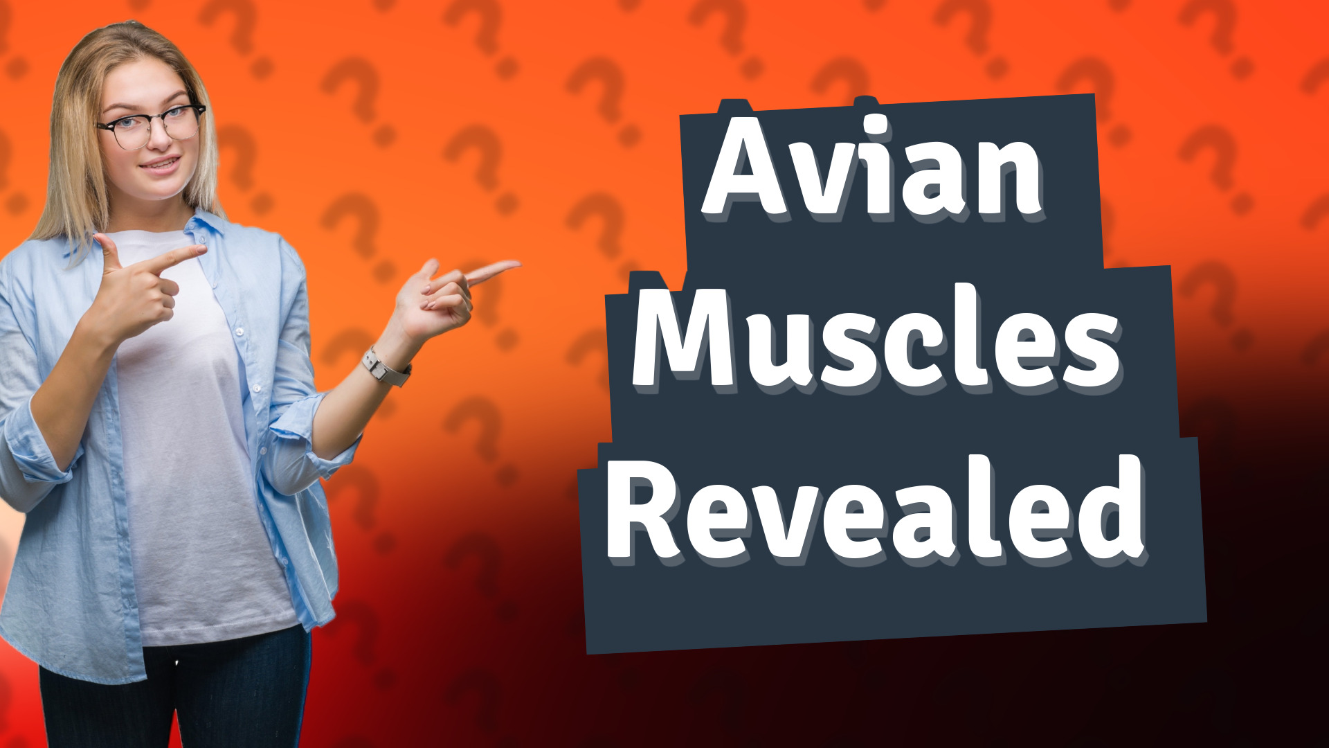 Avian Muscles Revealed