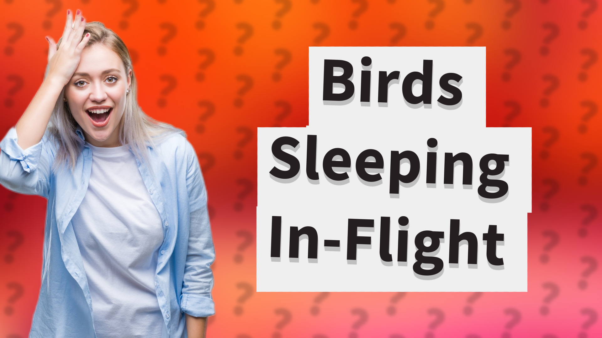 Birds Sleeping In-Flight