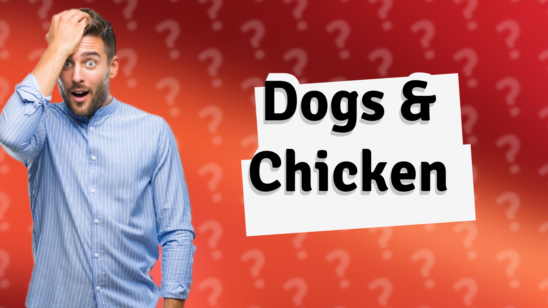 Dogs & Chicken