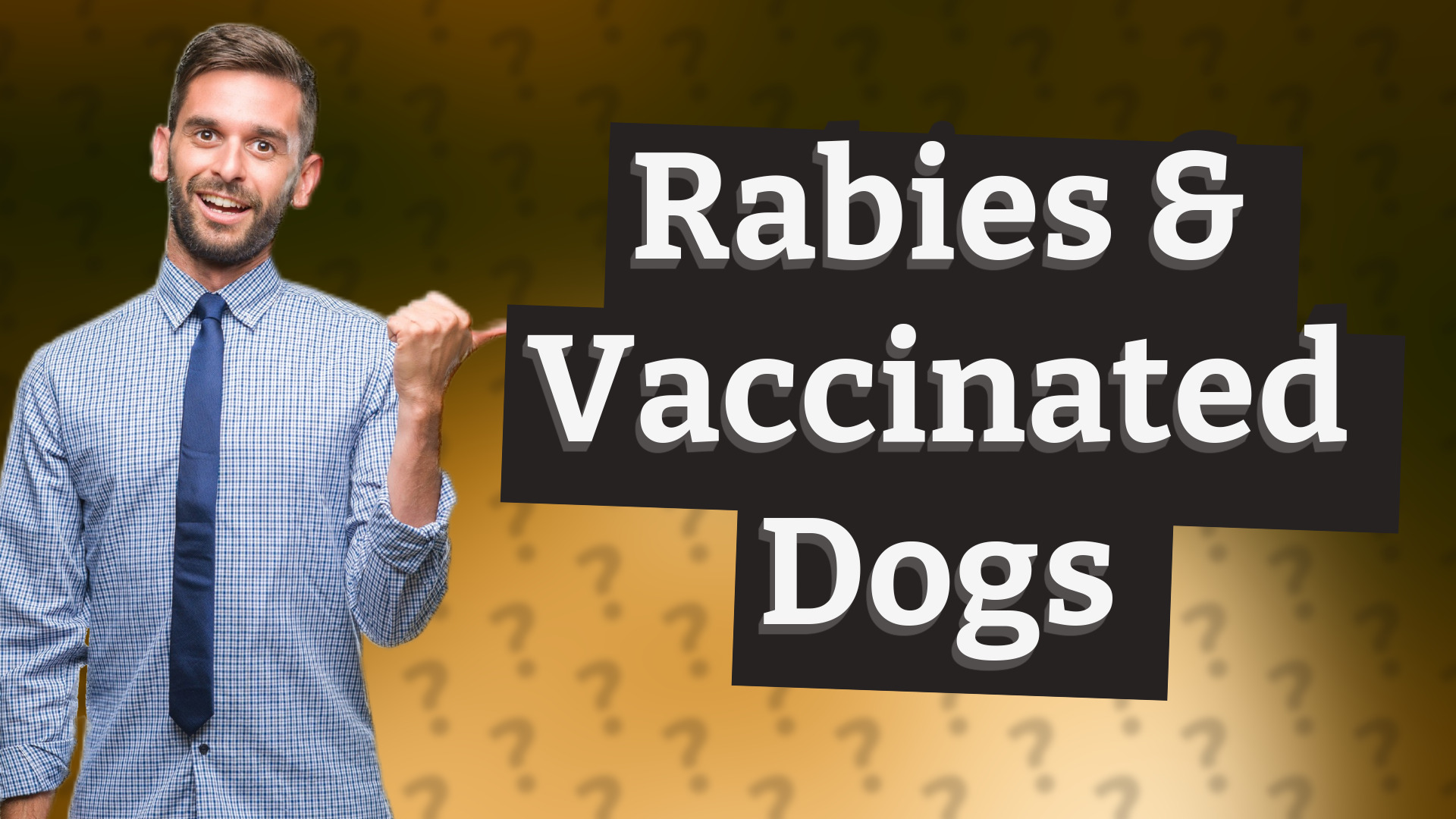 Rabies & Vaccinated Dogs