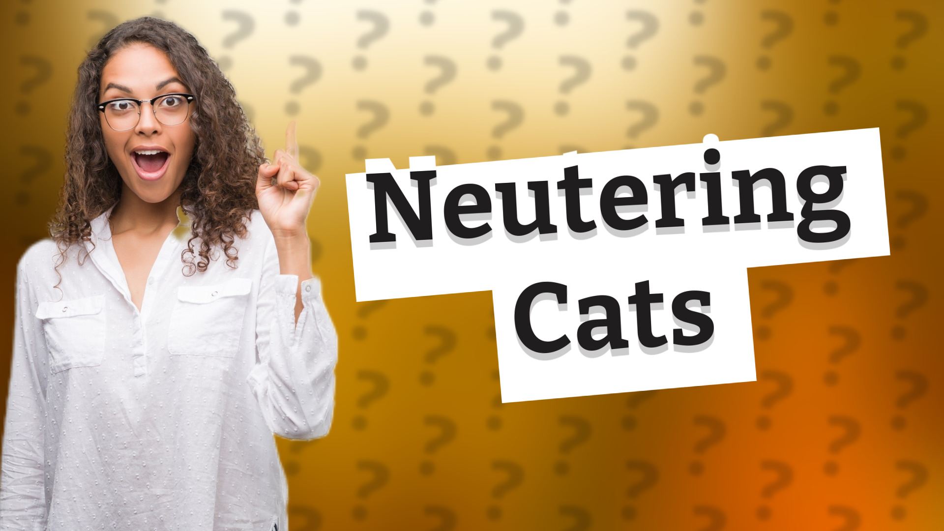 Neutering Cats