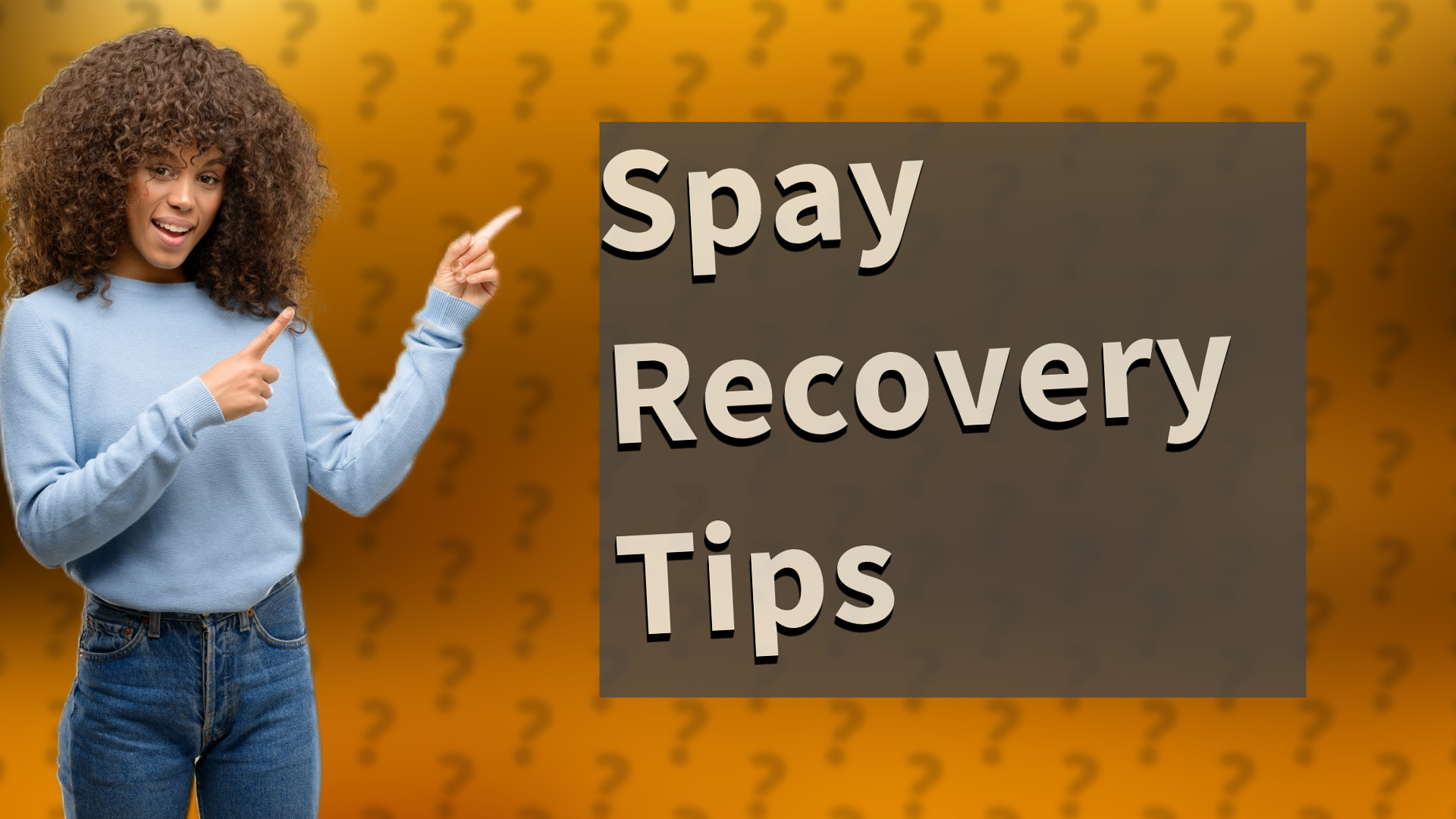 Spay Recovery Tips