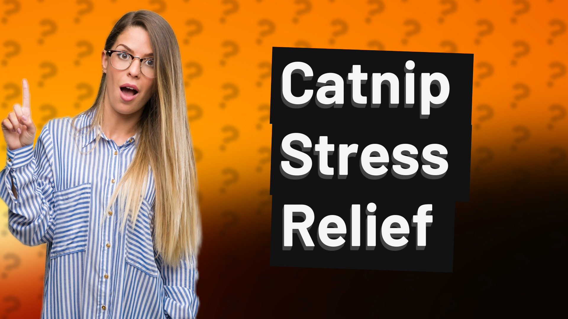 Catnip Stress Relief
