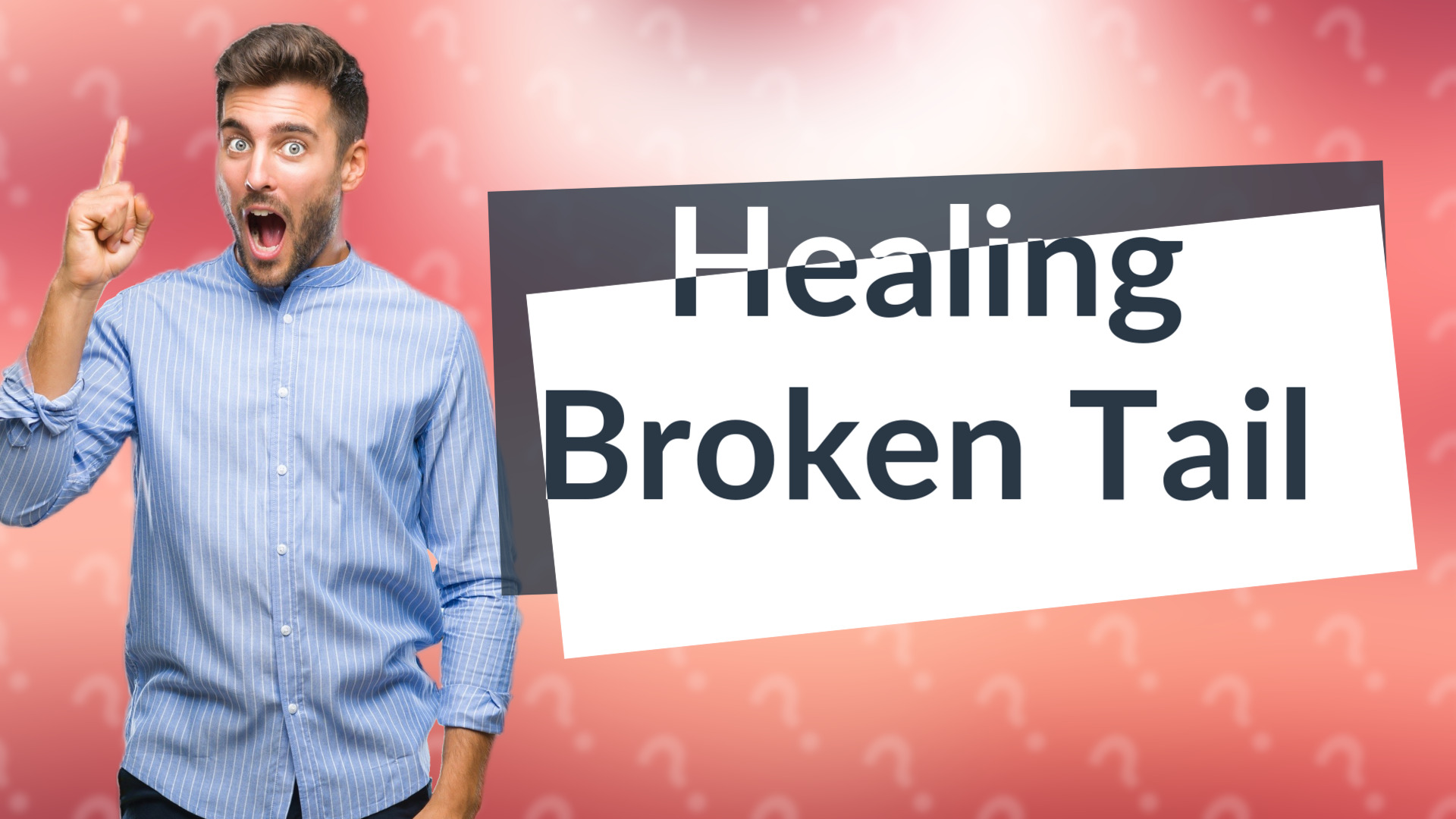 Healing Broken Tail