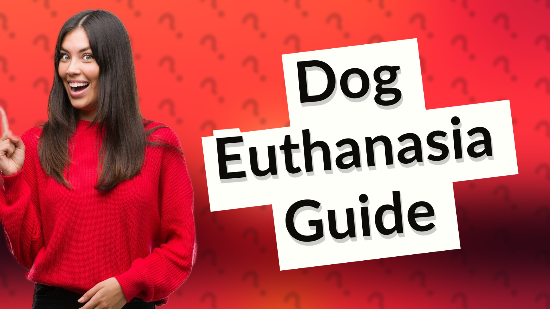 Dog Euthanasia Guide