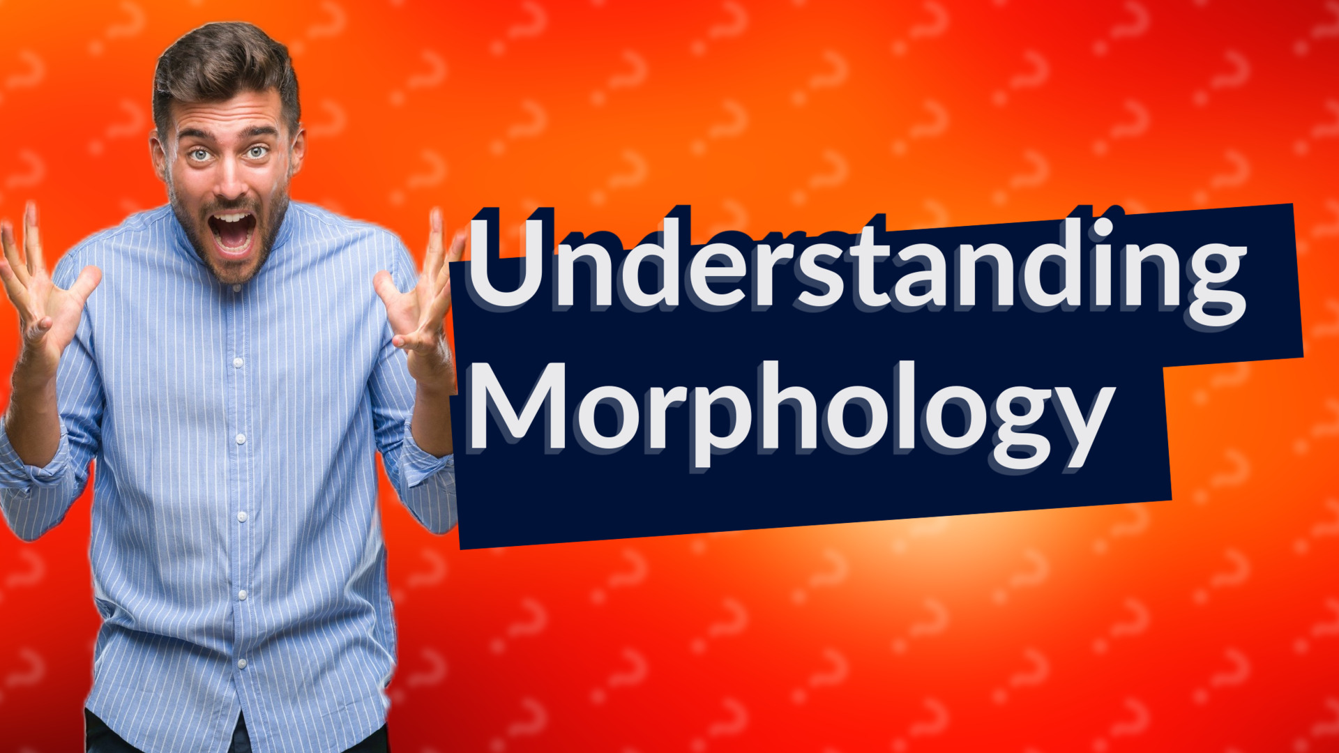 Understanding Morphology