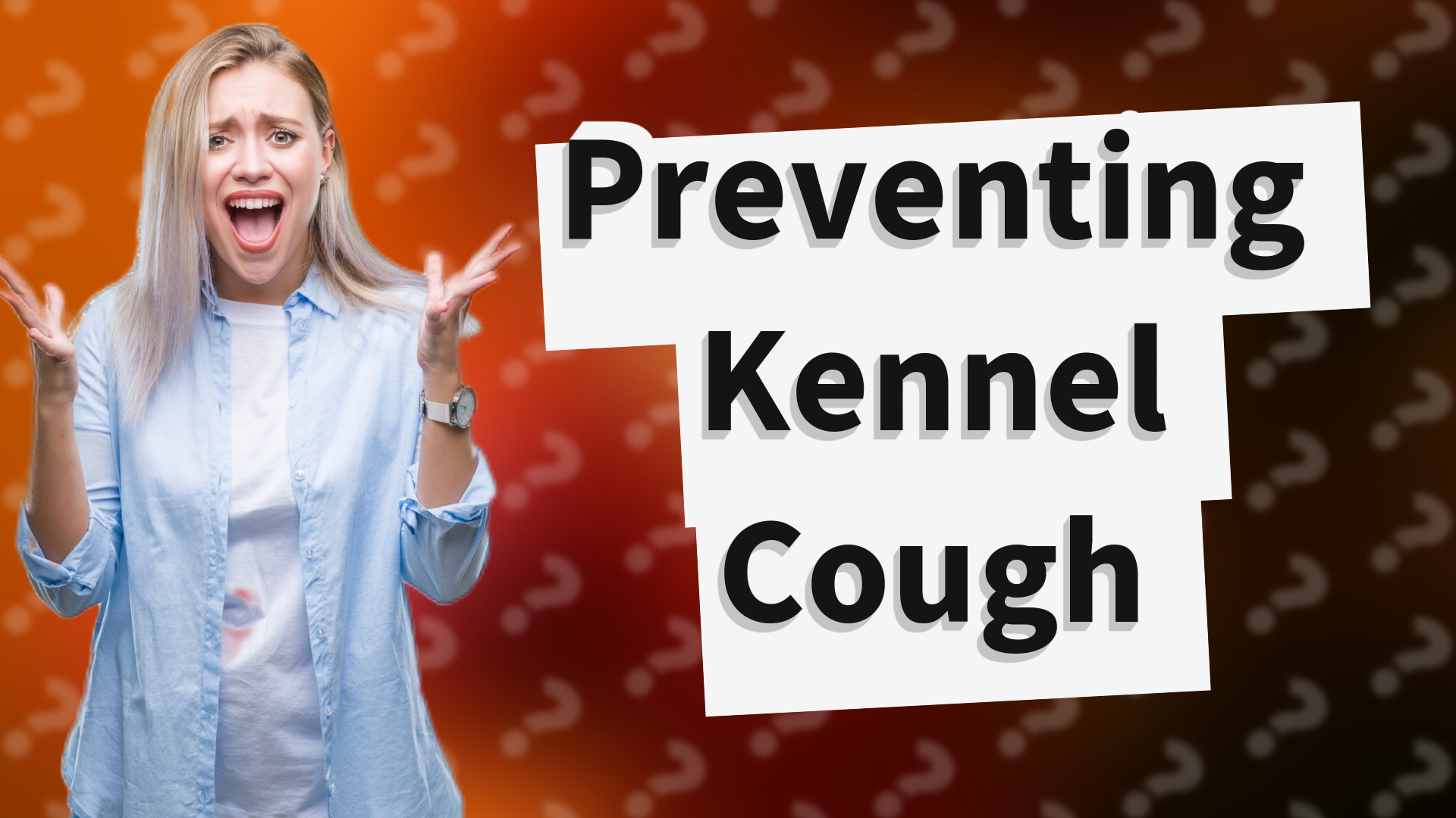 Preventing Kennel Cough