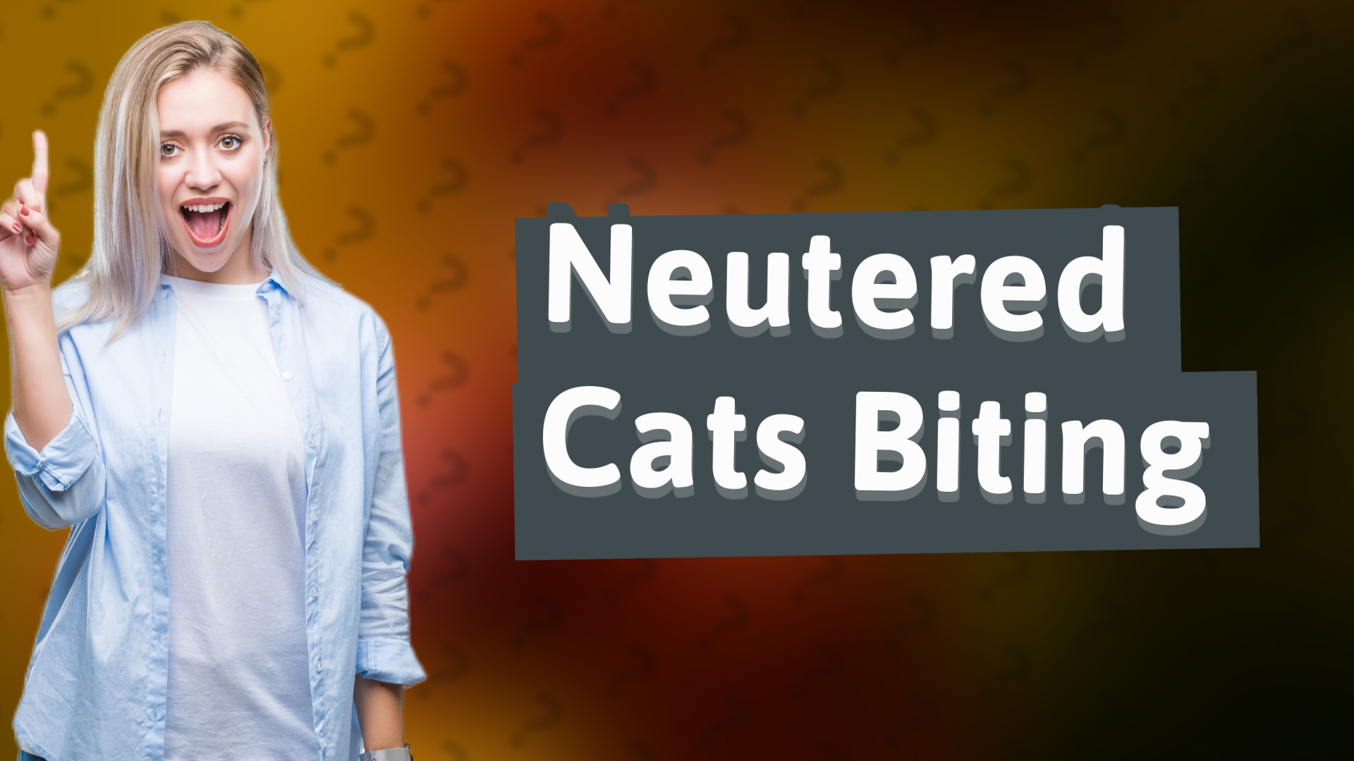 Neutered Cats Biting