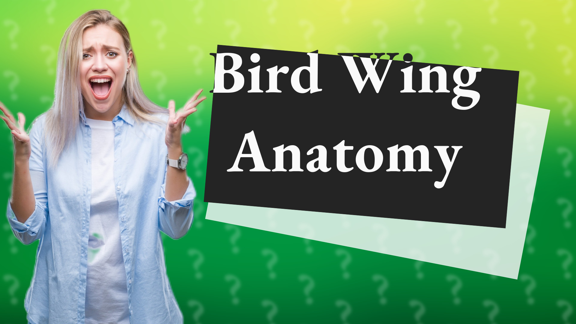 Bird Wing Anatomy