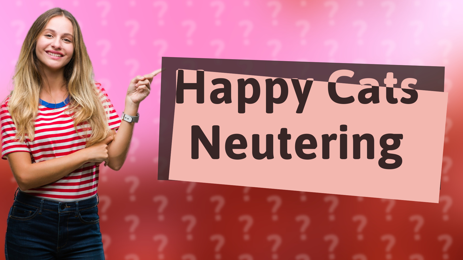 Happy Cats Neutering