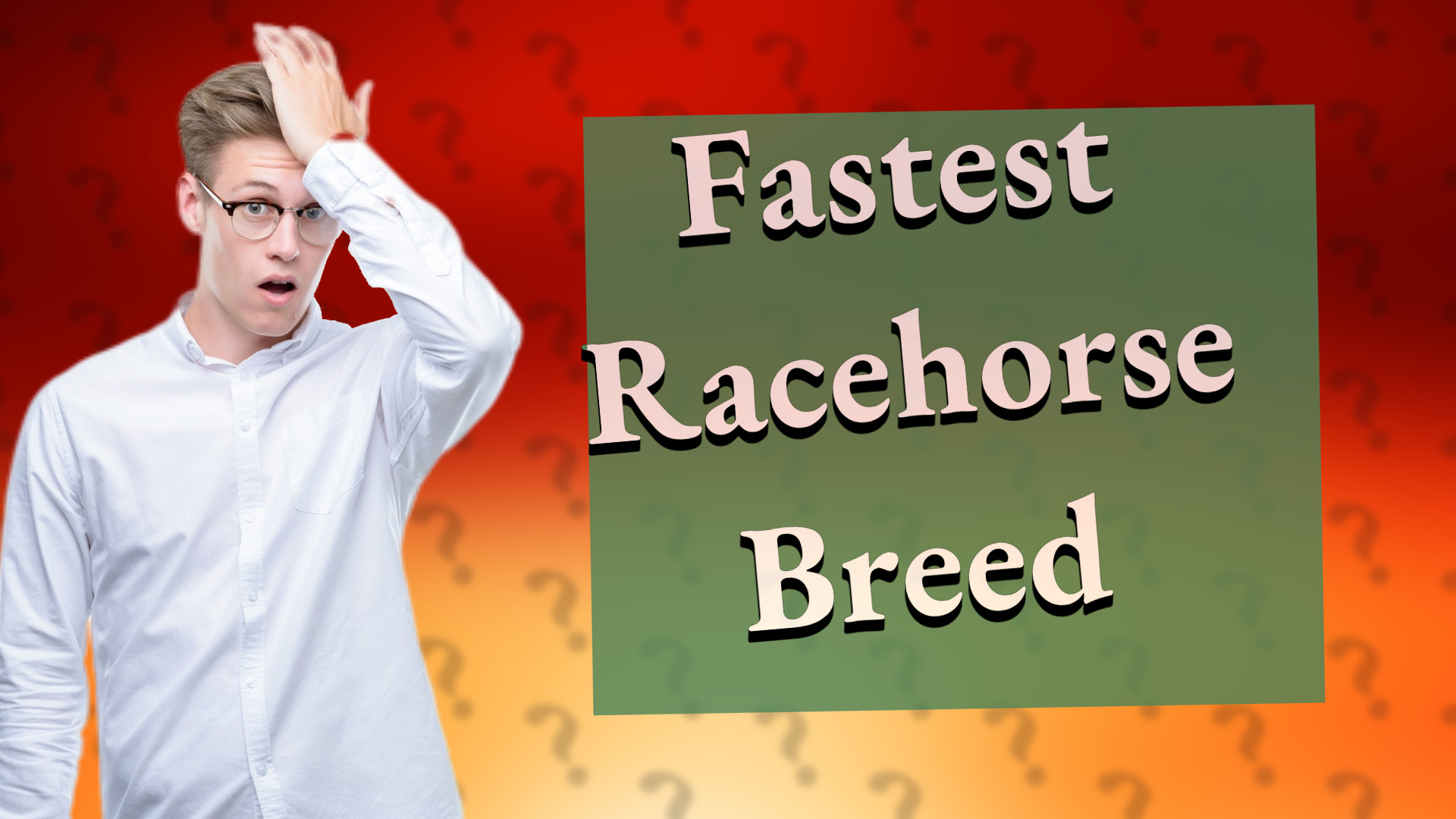 Fastest Racehorse Breed