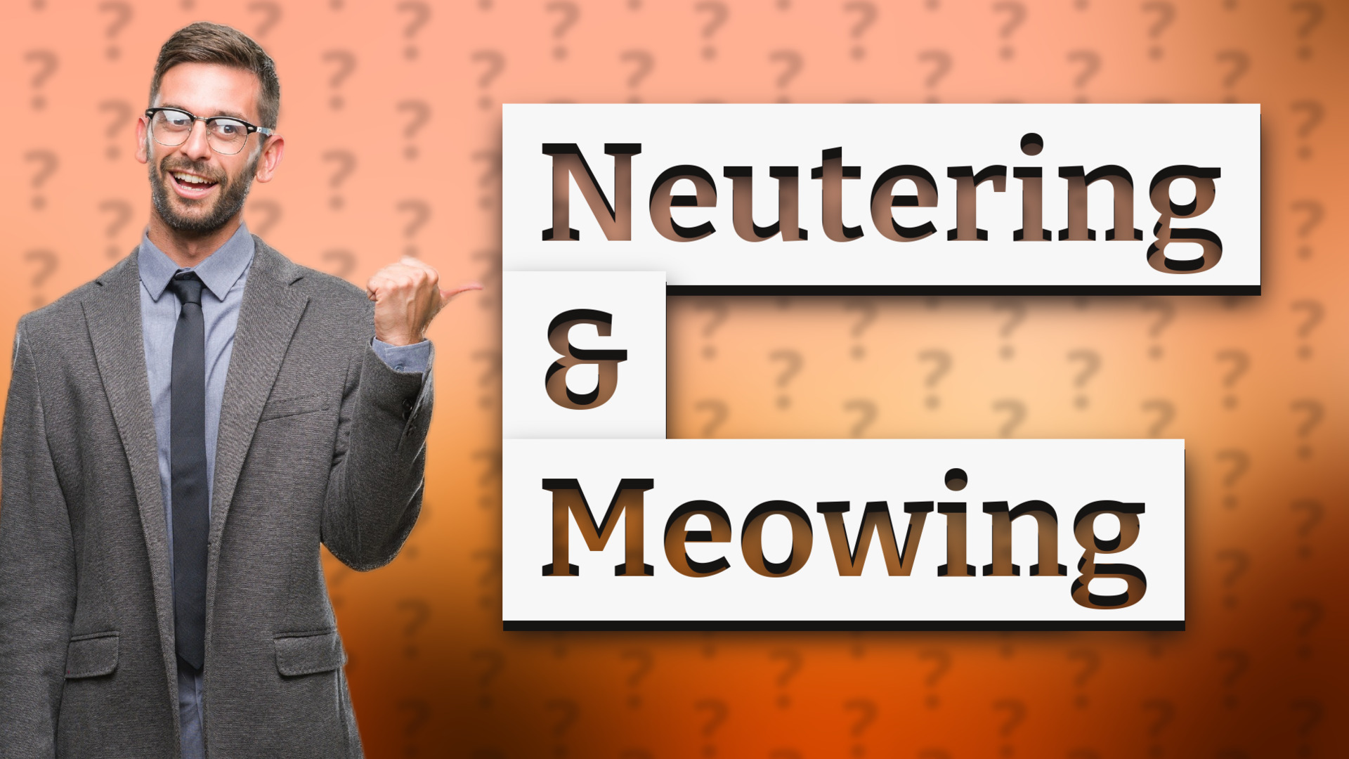 Neutering & Meowing