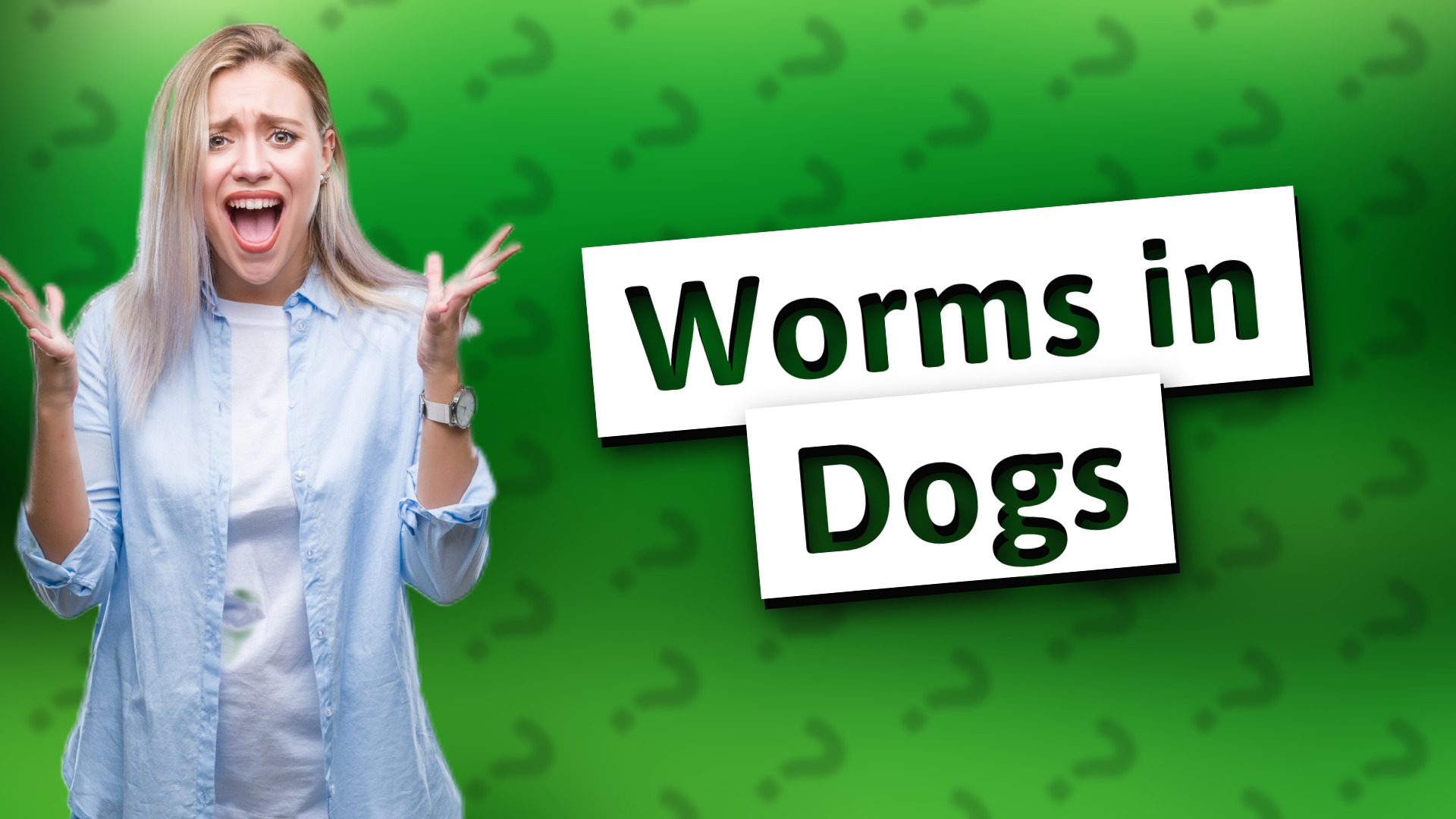 Worms in Dogs