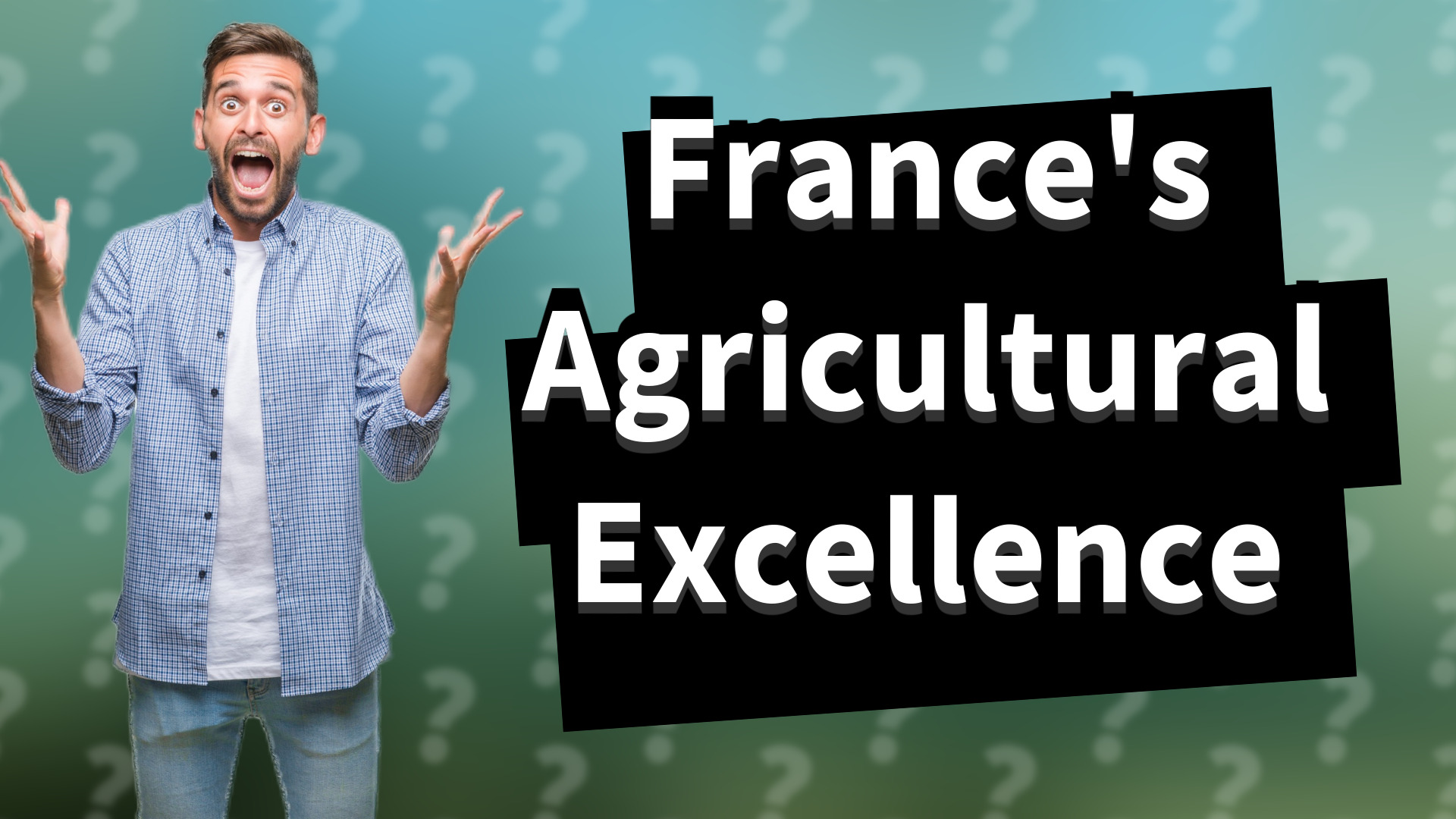 France's Agricultural Excellence