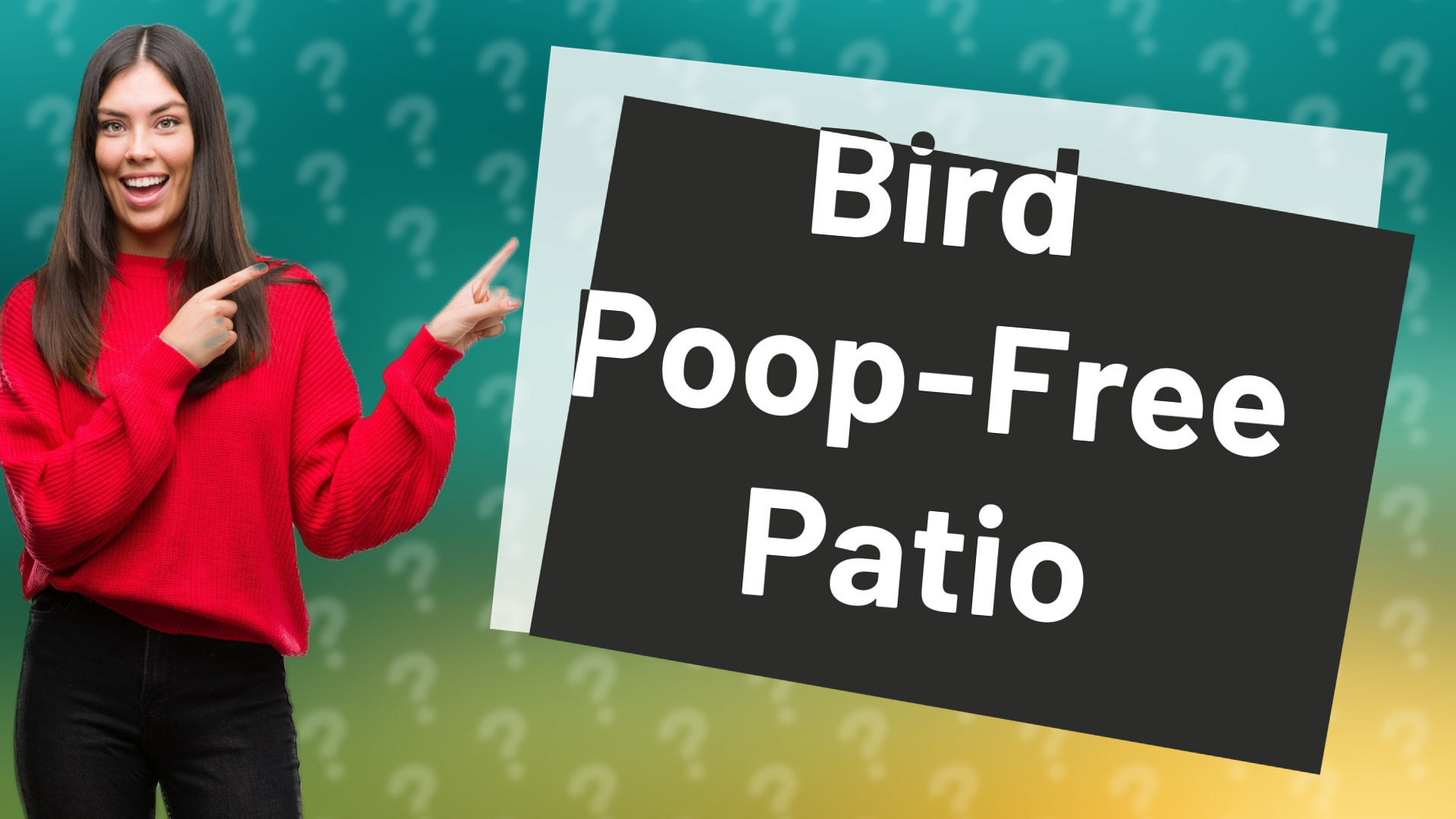 Bird Poop-Free Patio