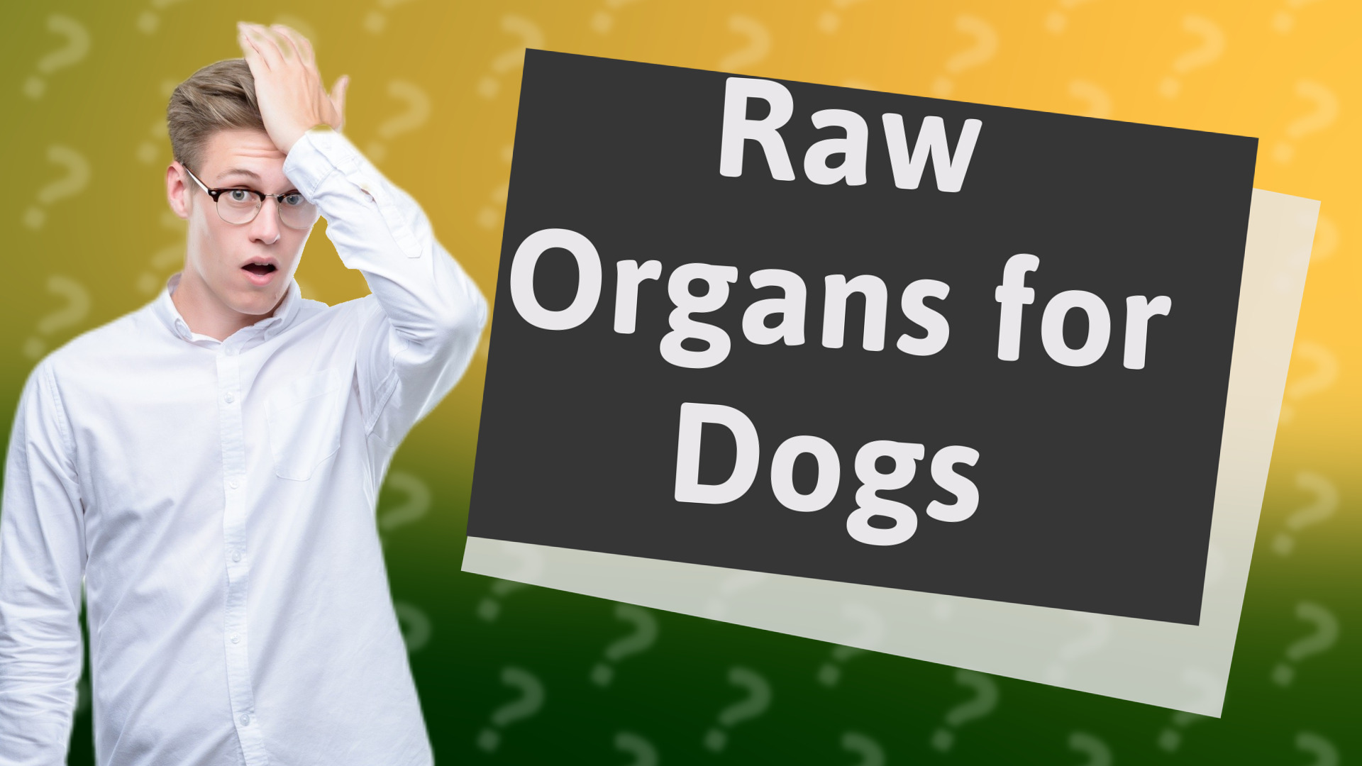 Raw Organs for Dogs
