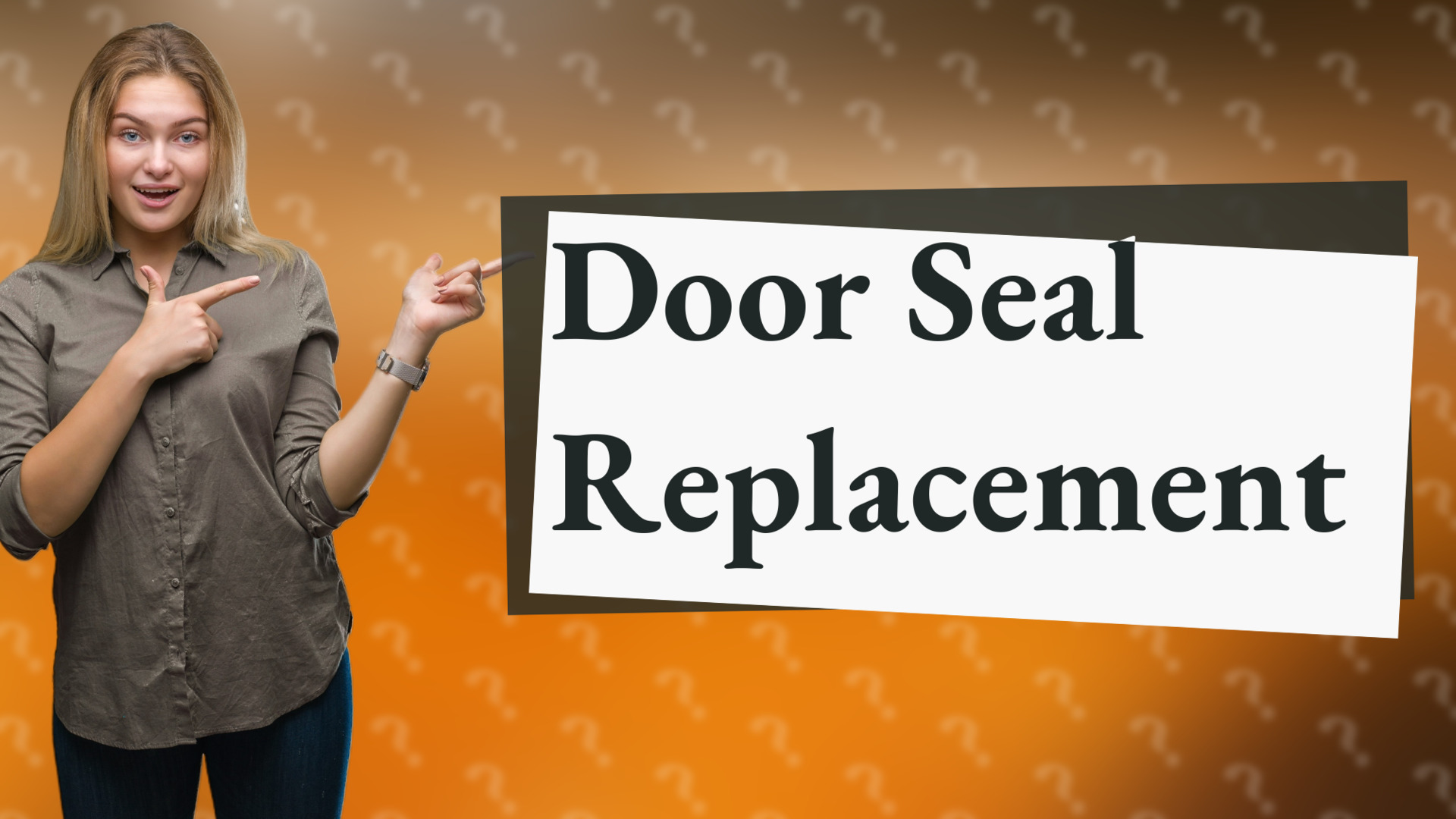 Door Seal Replacement