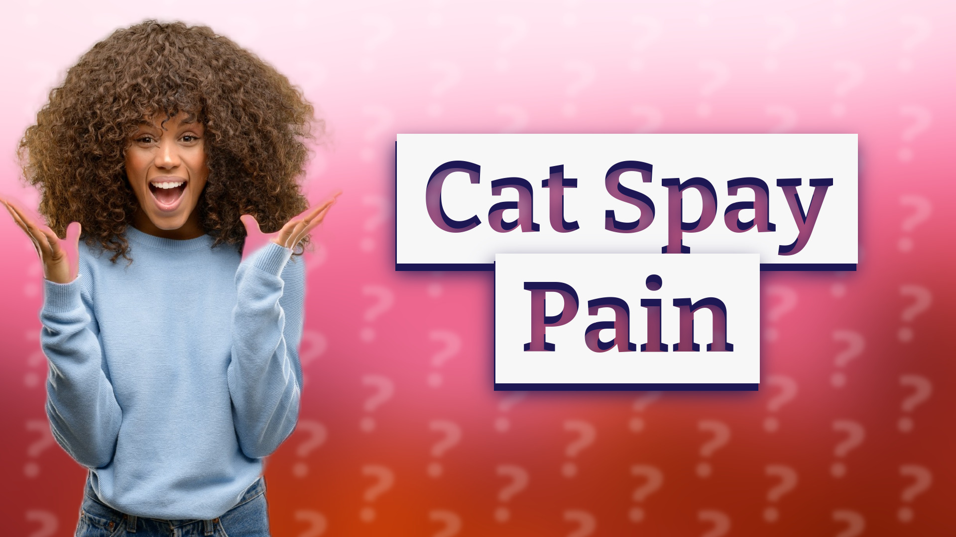 Cat Spay Pain