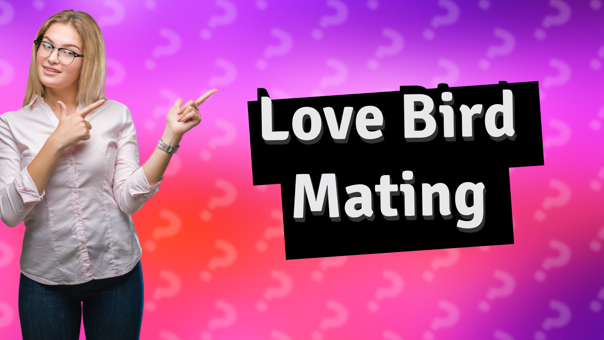 Love Bird Mating
