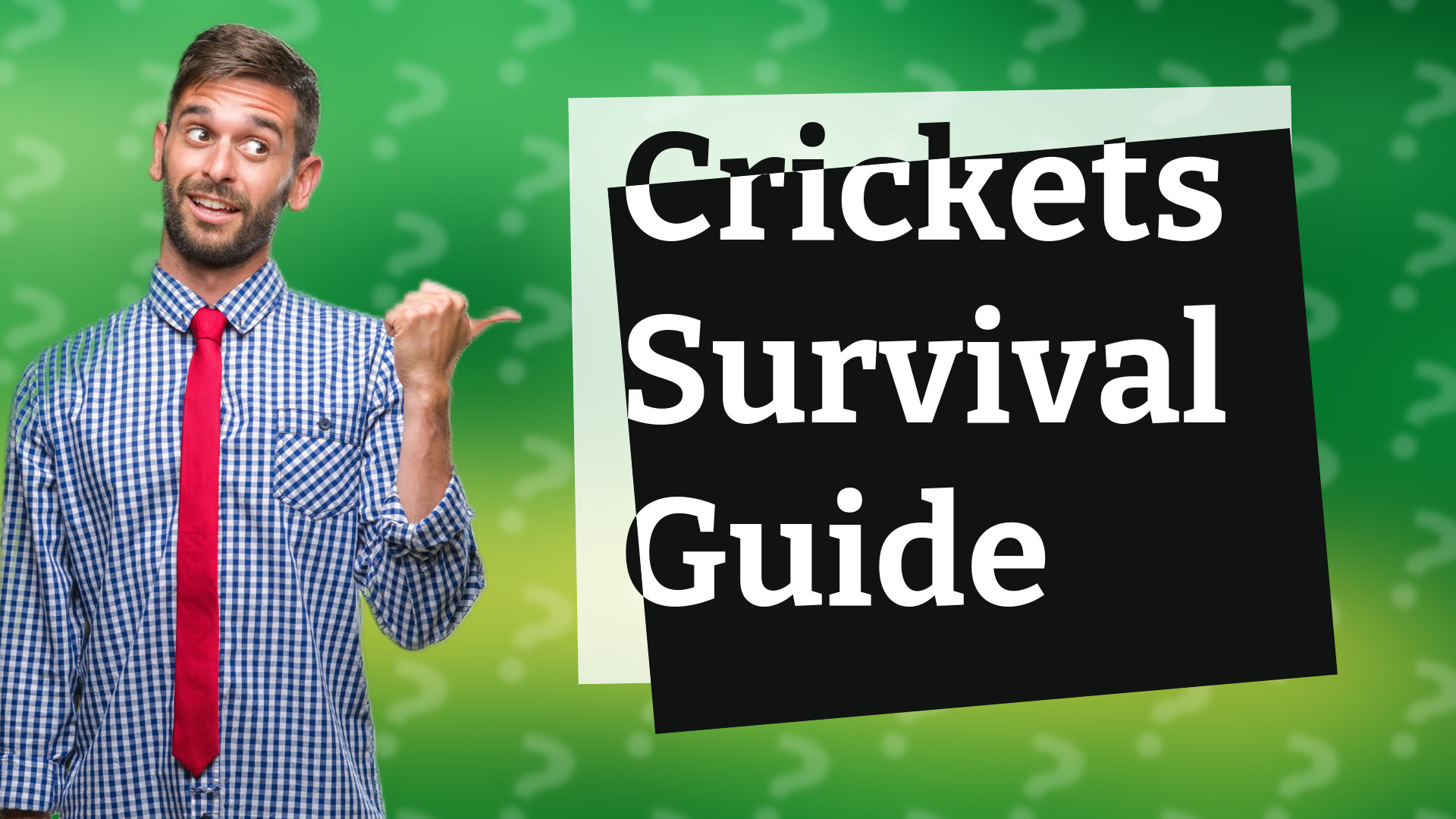 Crickets Survival Guide