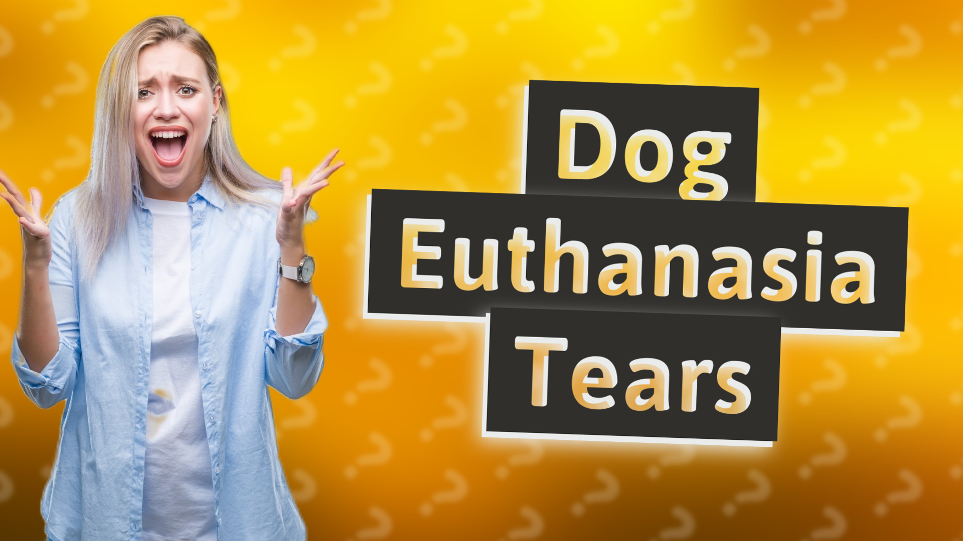Dog Euthanasia Tears