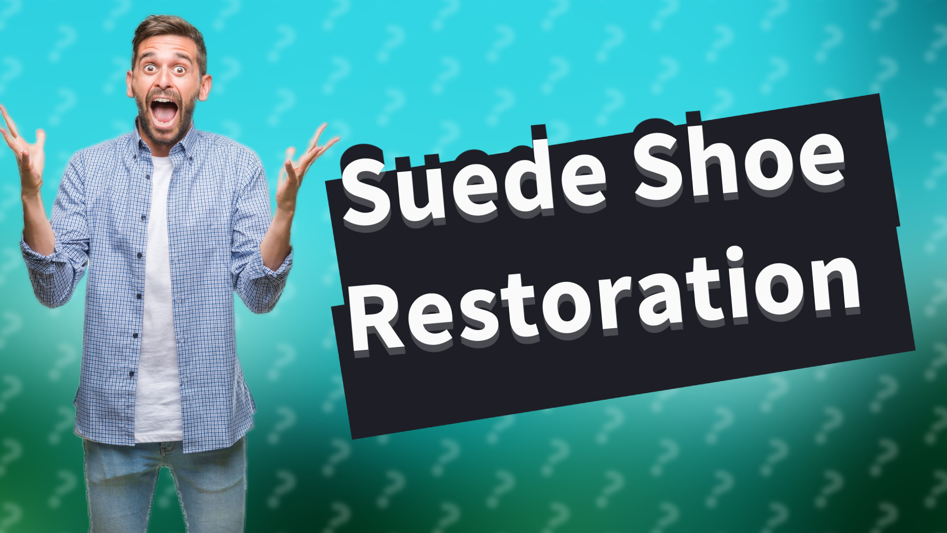 Suede Shoe Restoration