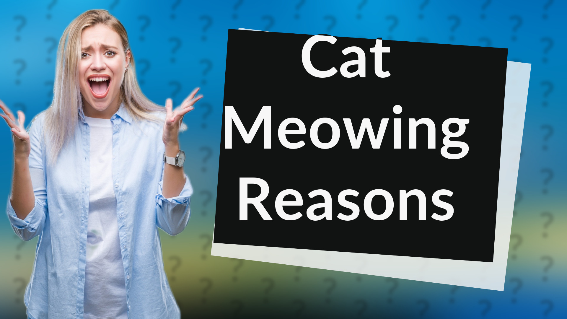 Cat Meowing Reasons