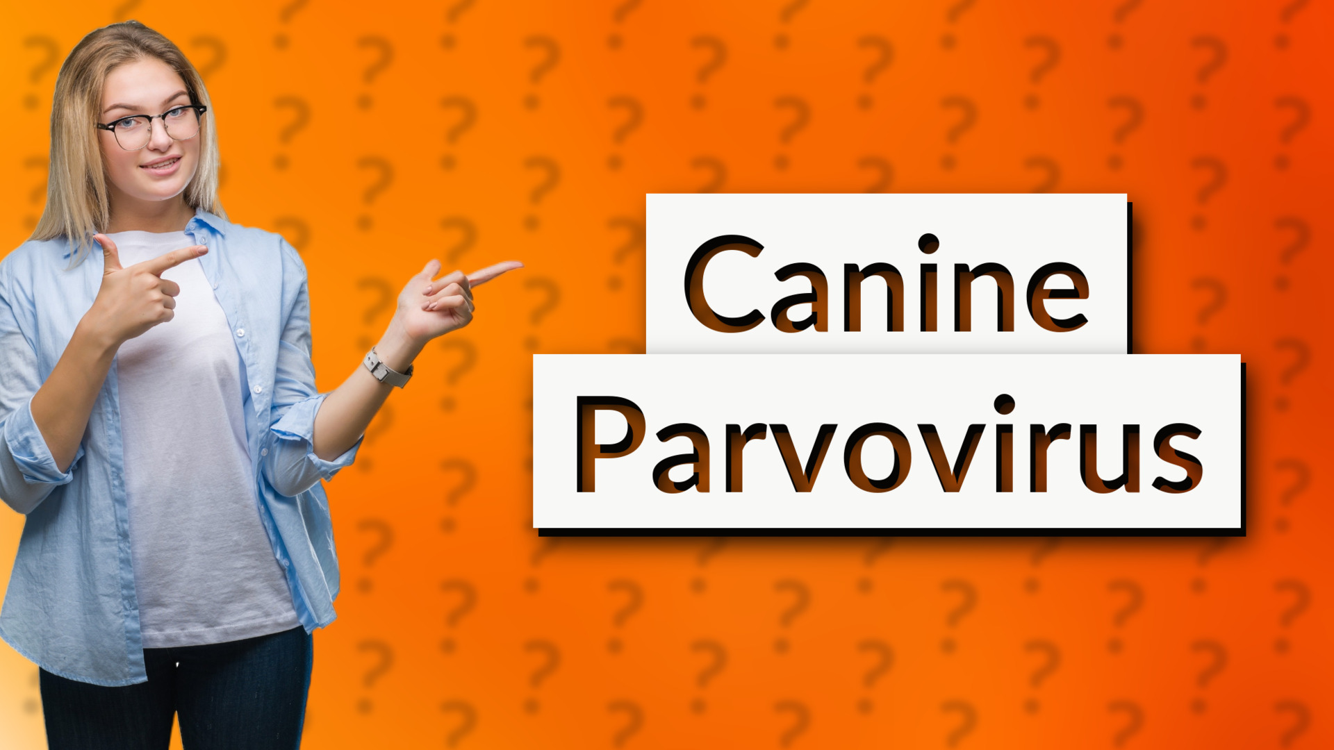 Canine Parvovirus