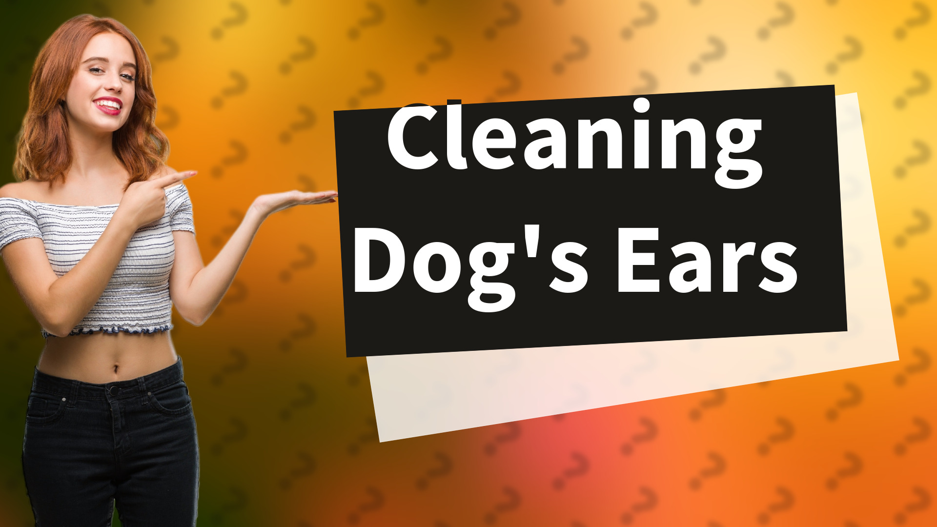 Cleaning Dog's Ears
