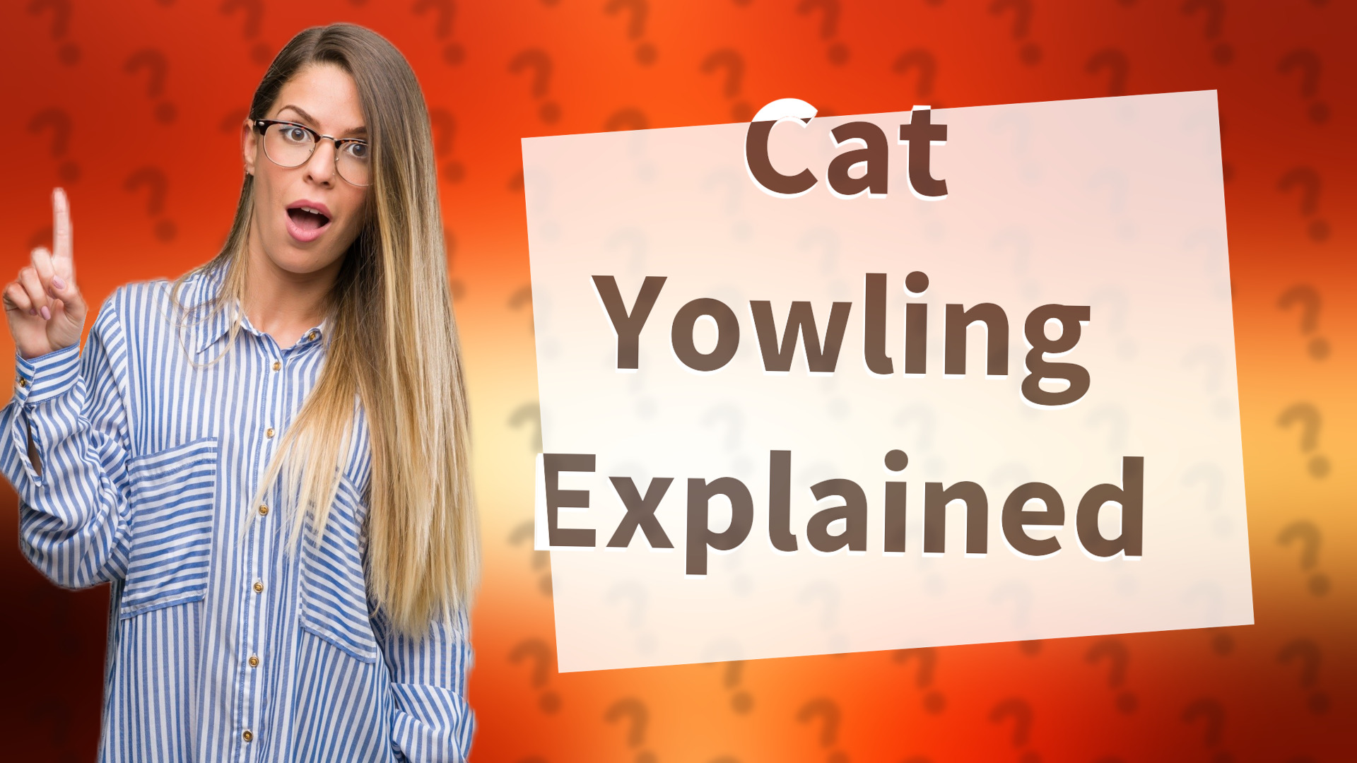 Cat Yowling Explained