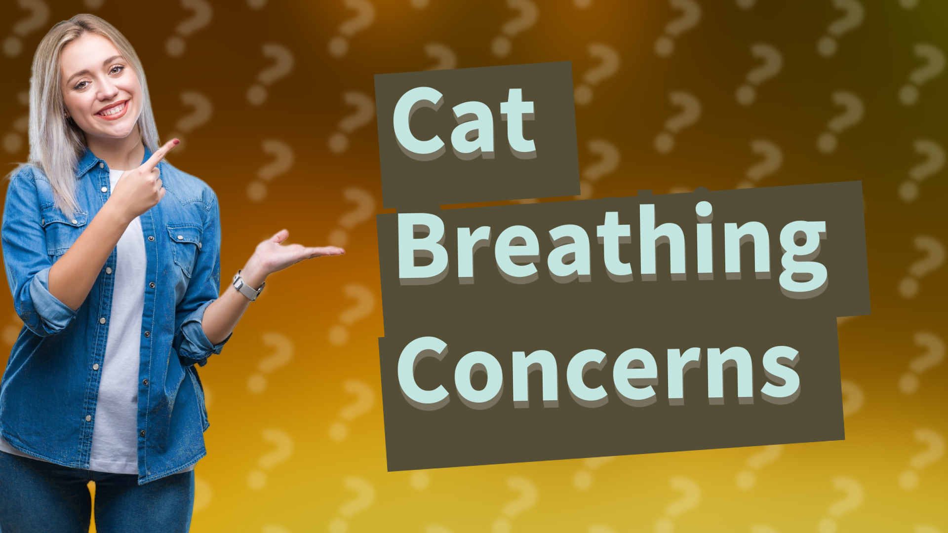 Cat Breathing Concerns
