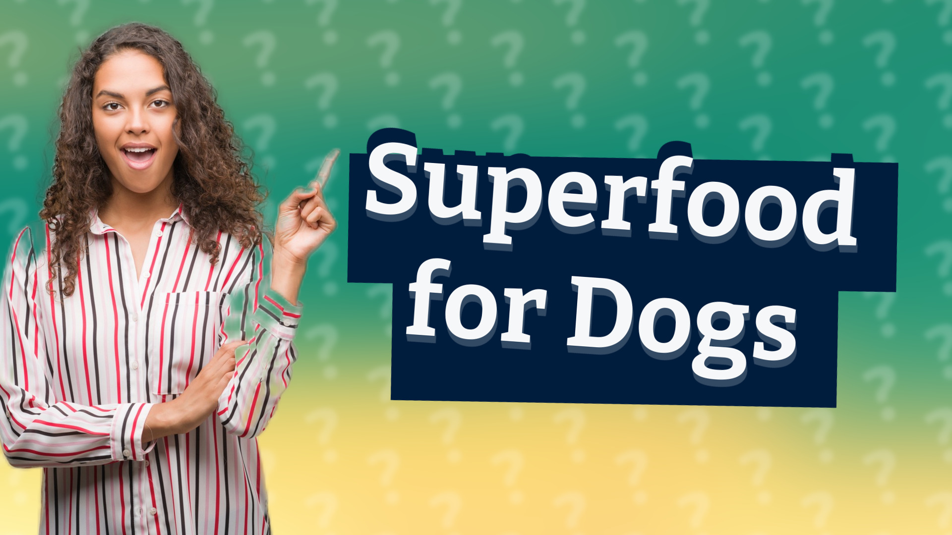 Superfood for Dogs