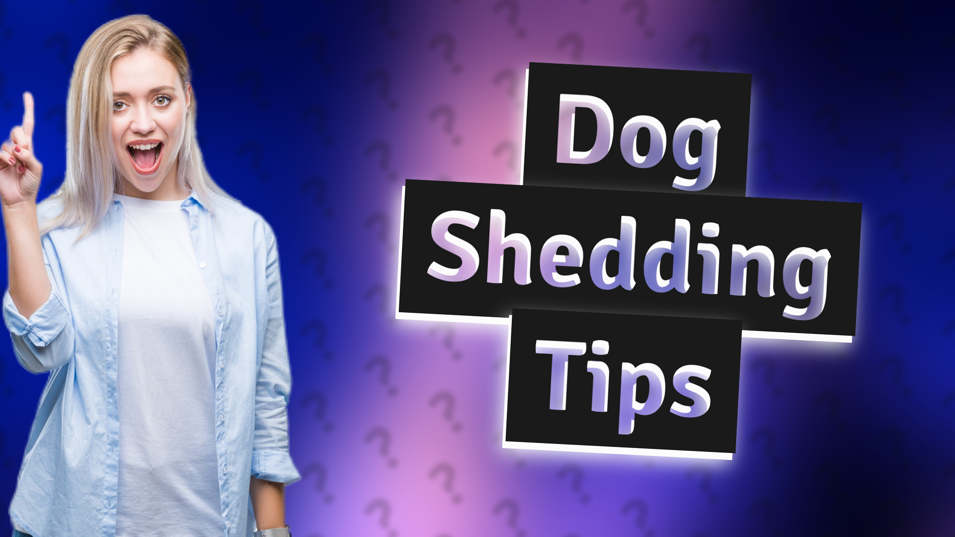 Dog Shedding Tips