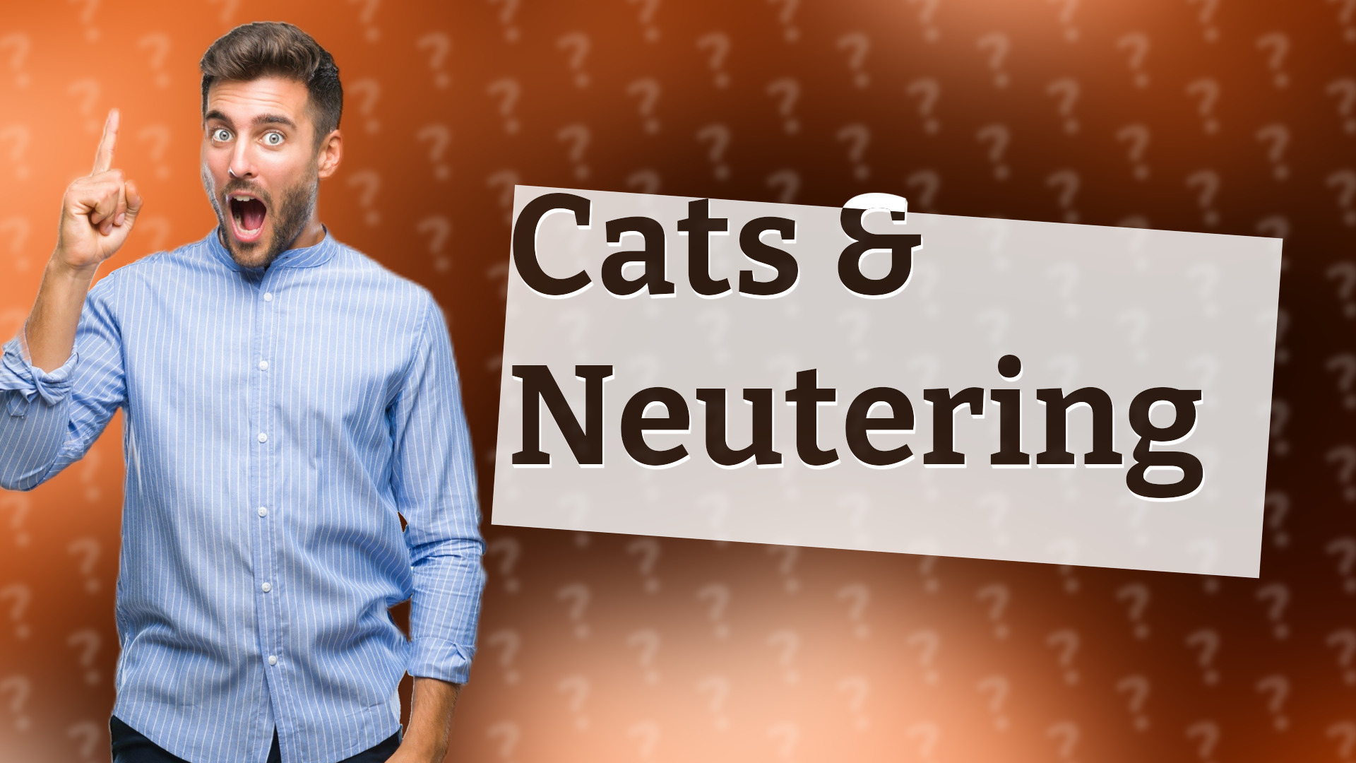 Cats & Neutering