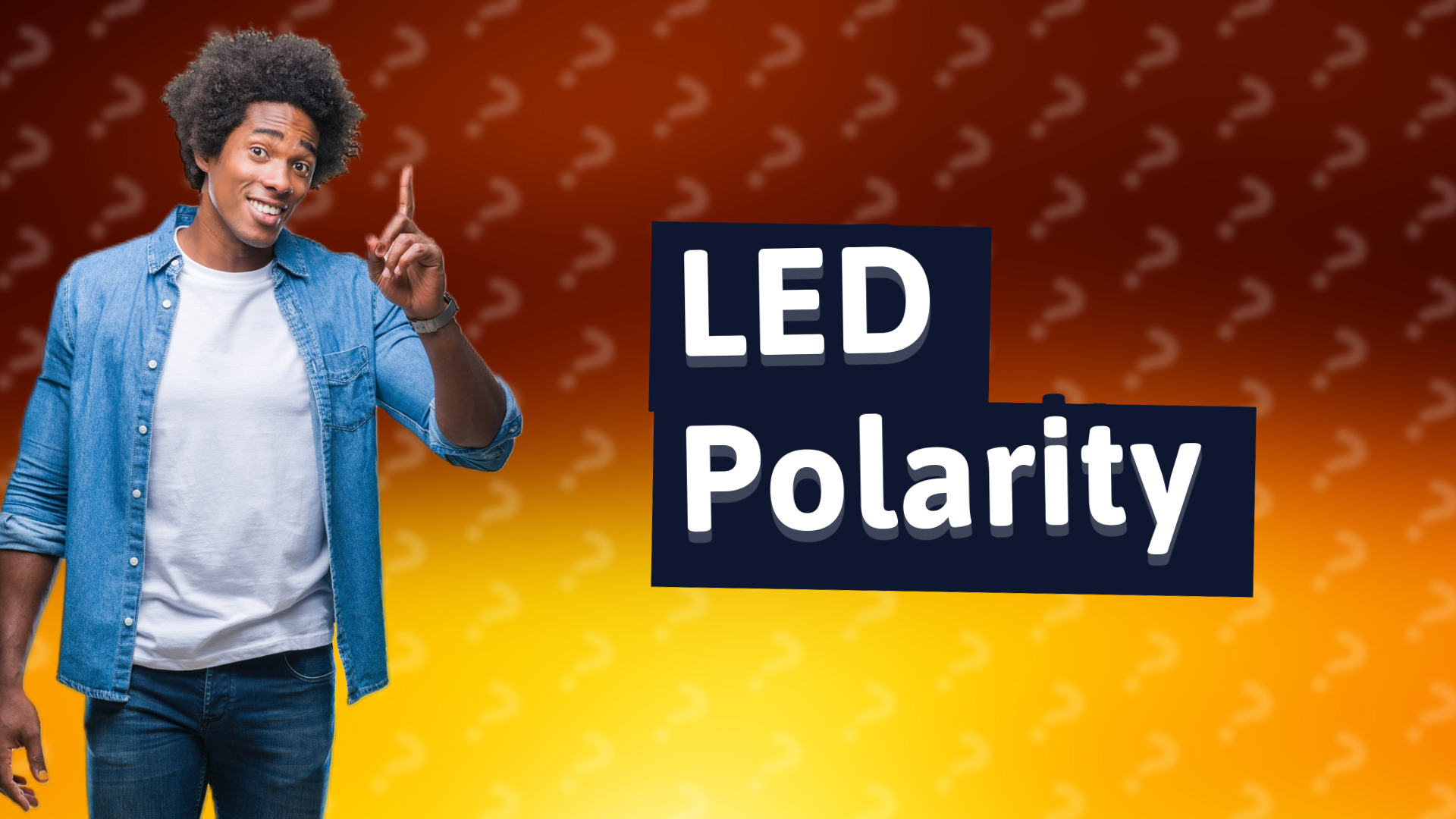 LED Polarity