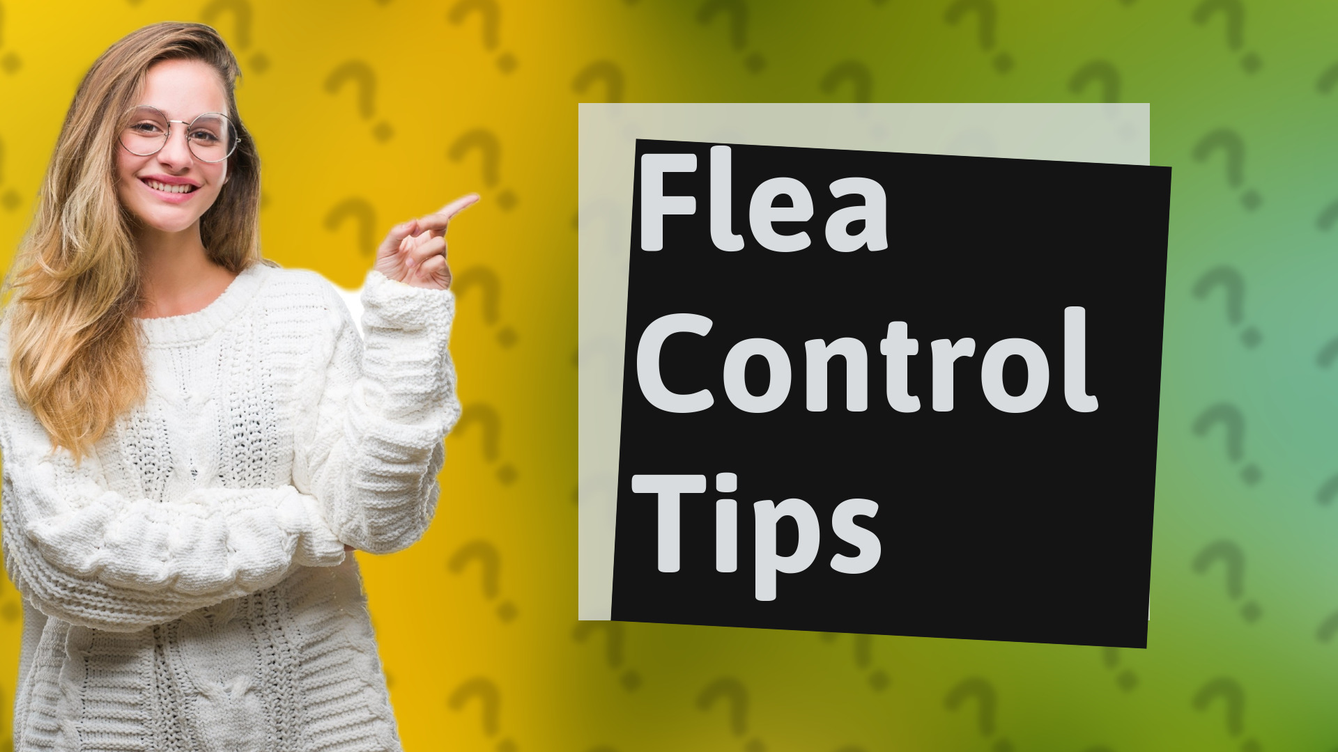 Flea Control Tips