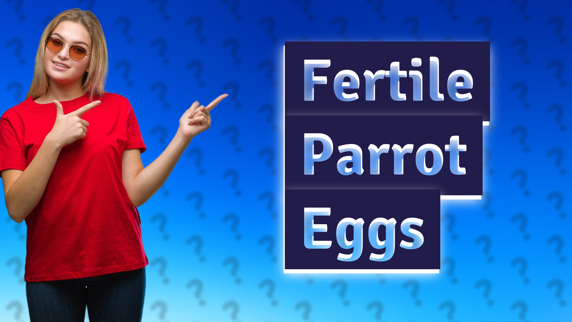 Fertile Parrot Eggs
