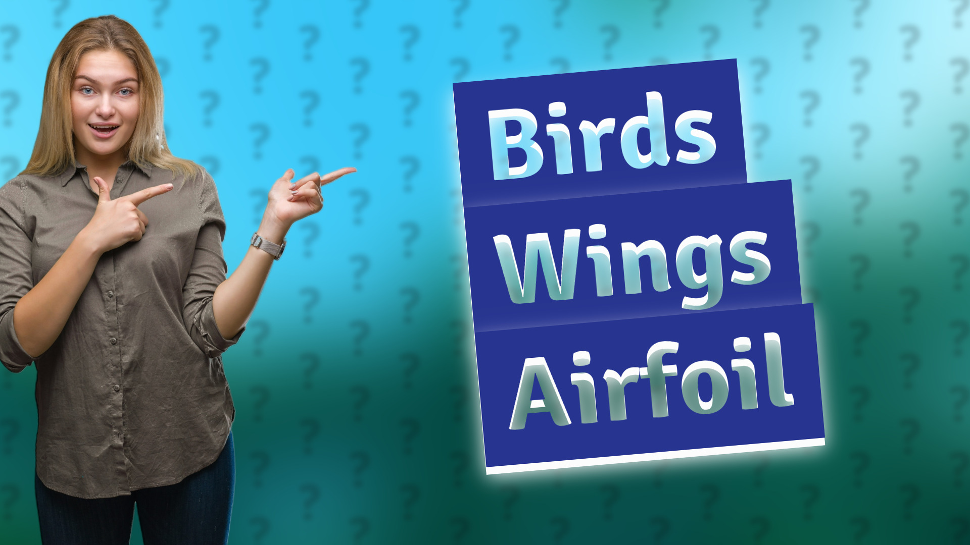 Birds Wings Airfoil
