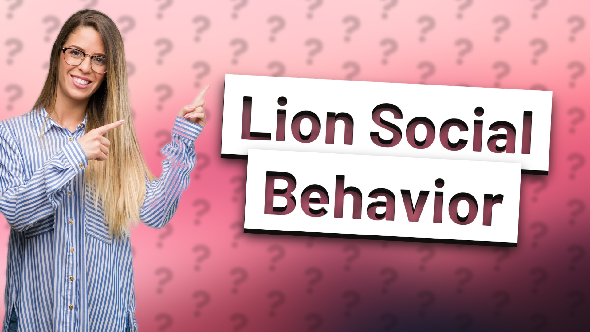 Lion Social Behavior