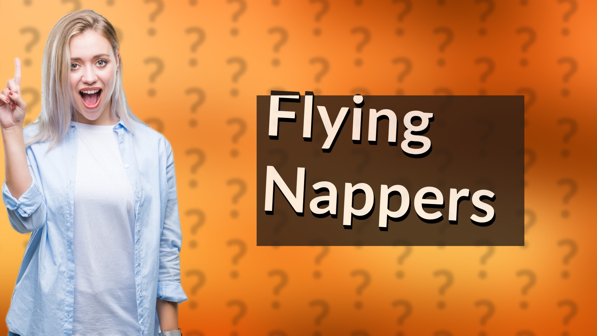Flying Nappers