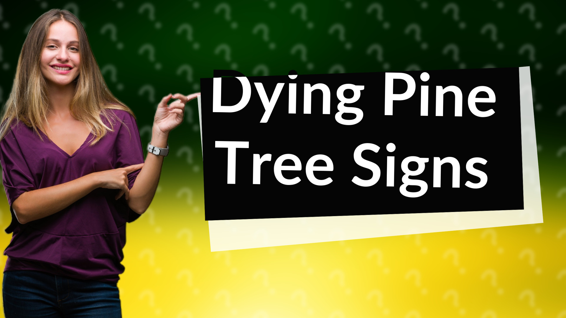 Dying Pine Tree Signs