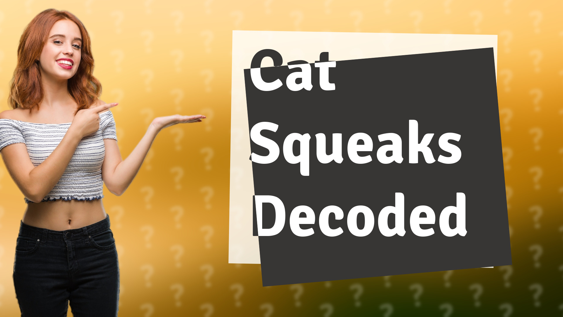 Cat Squeaks Decoded