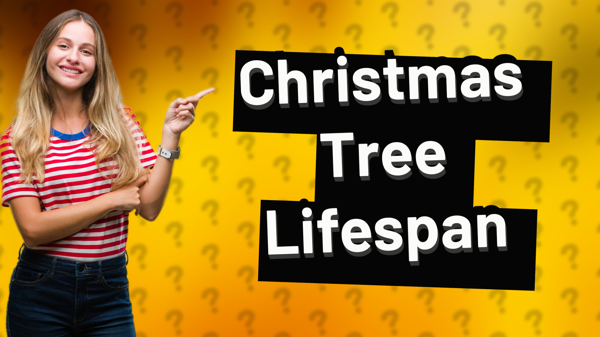 Christmas Tree Lifespan