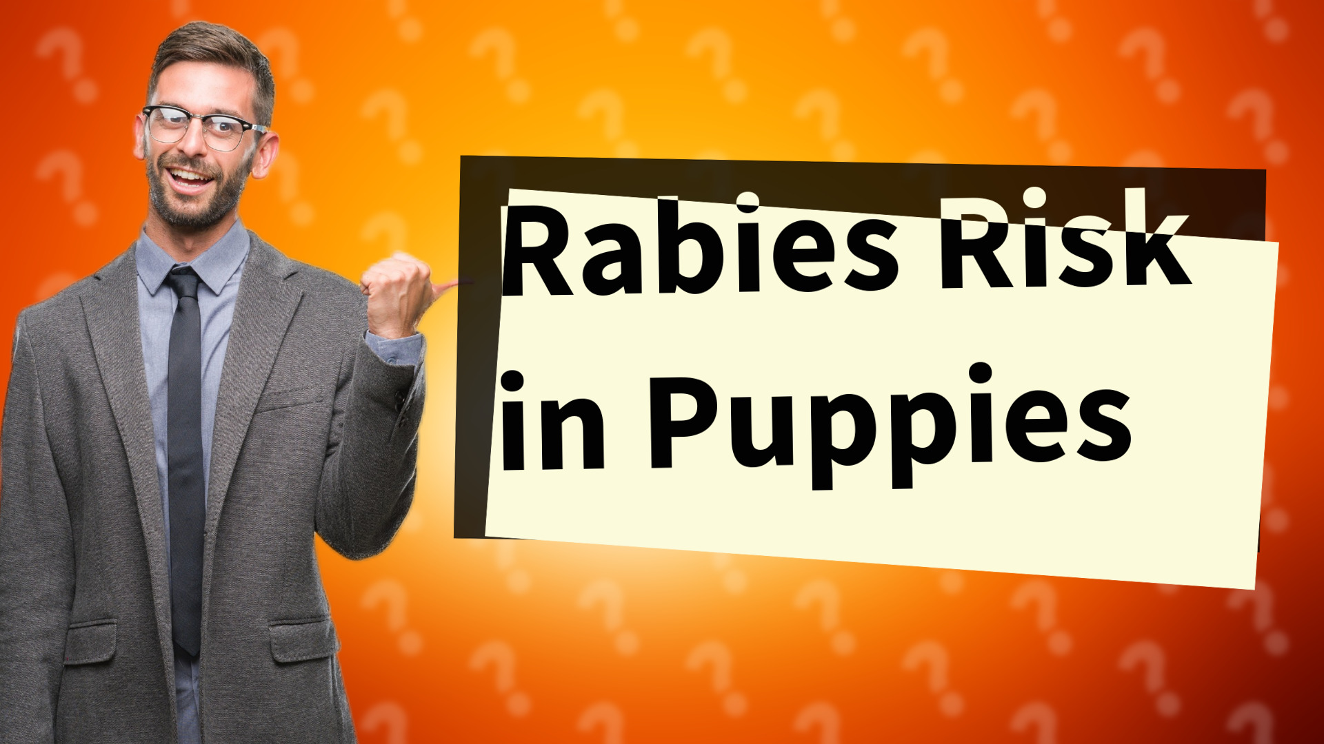 Rabies Risk in Puppies