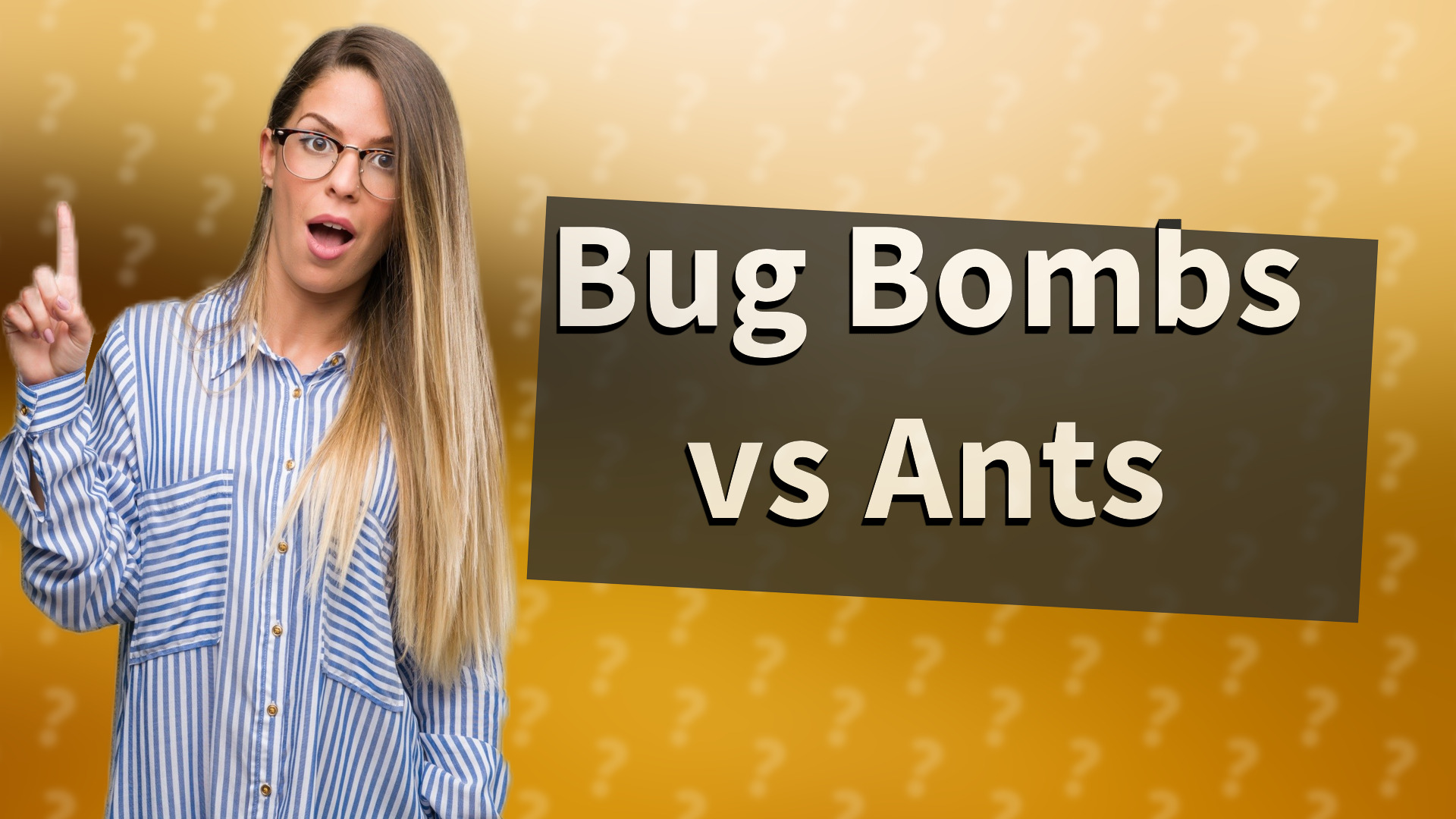 Bug Bombs vs Ants