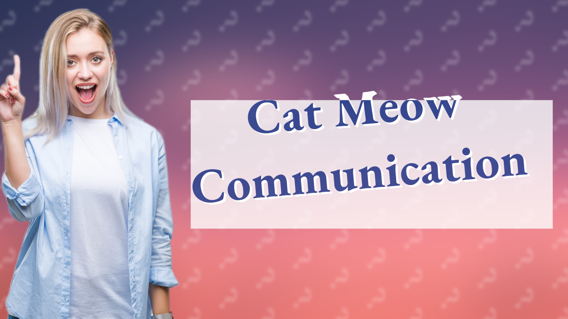 Cat Meow Communication