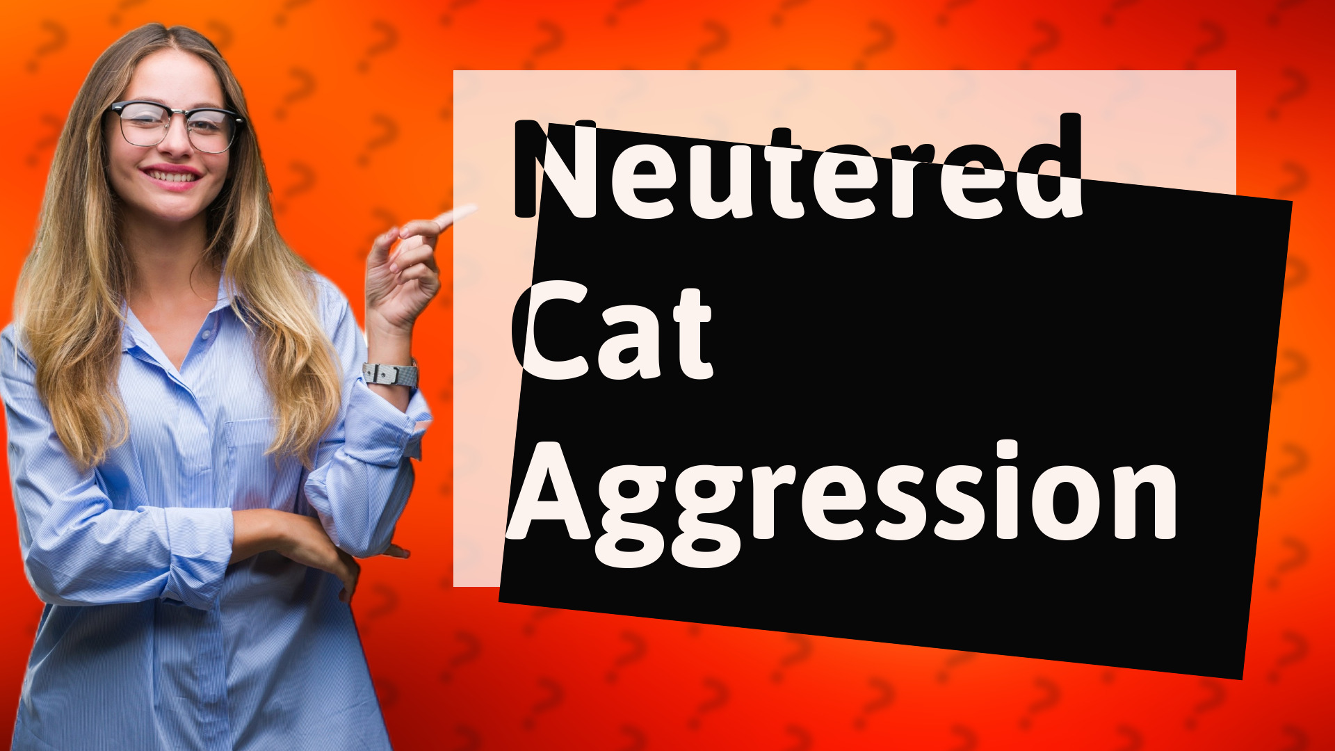Neutered Cat Aggression